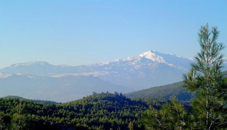 Snow-capped Mount Honaz rises above forested hills under clear blue sky with pine trees in foreground
