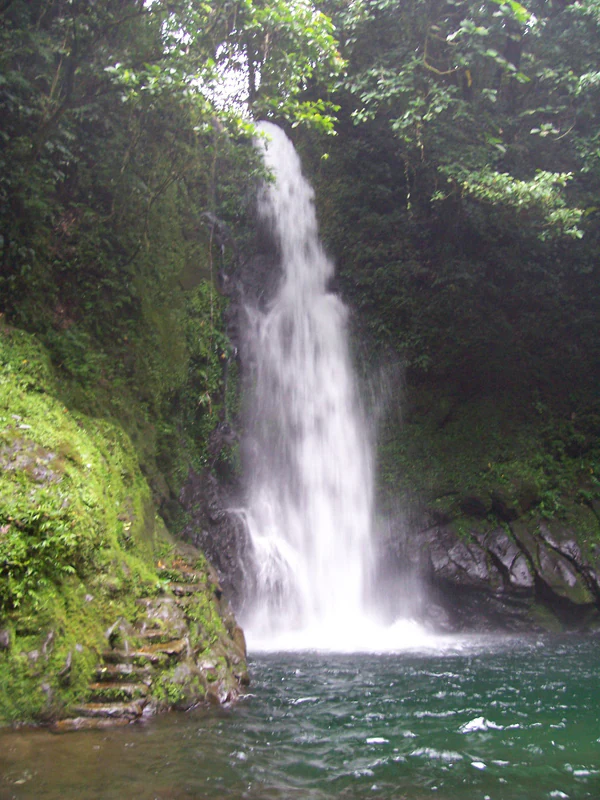 A tall waterfall cascading into a green pool surrounded by dense tropical forest vegetation.
