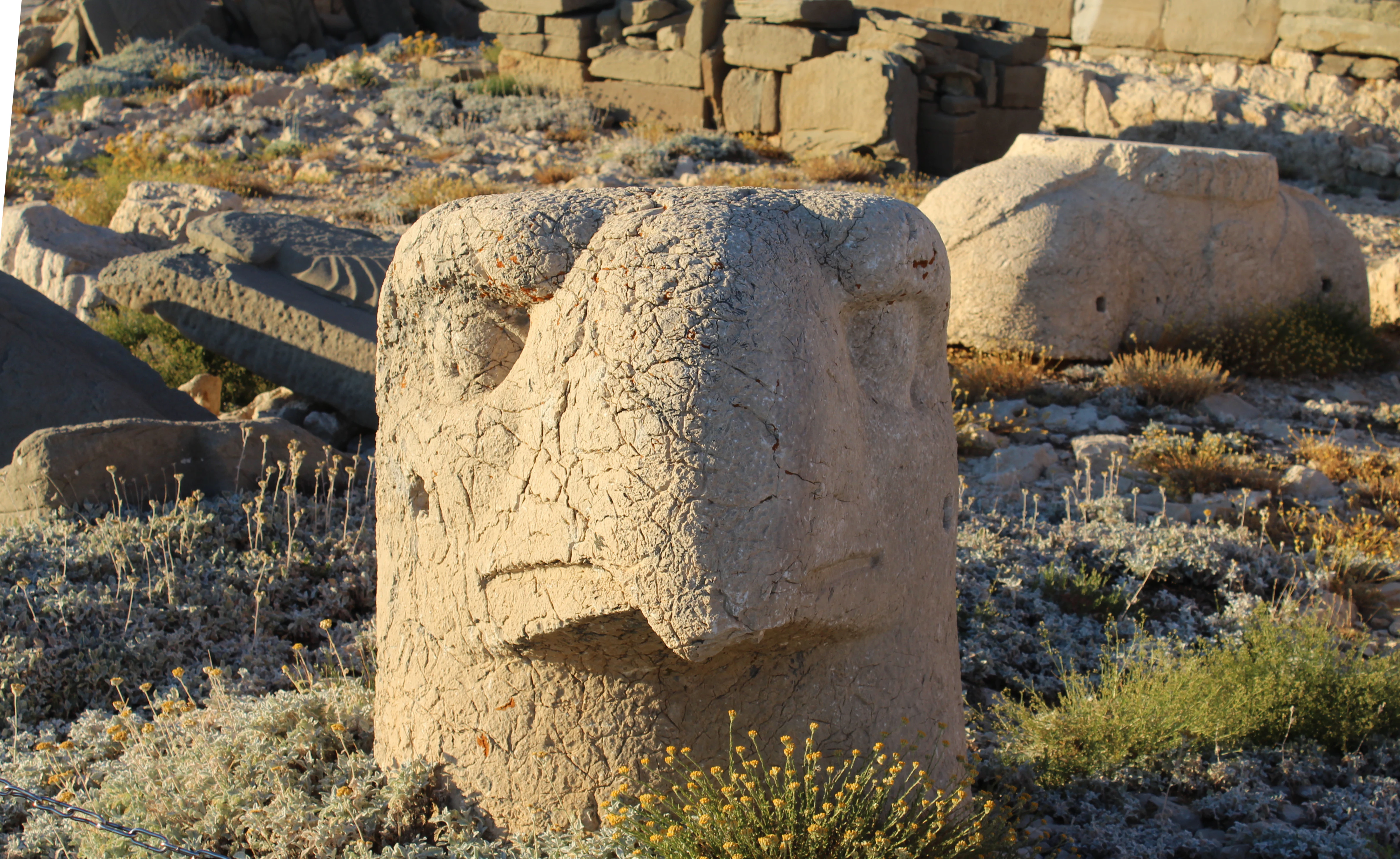 Stone eagle head sculpture with weathered surface, surrounded by dry vegetation and ancient stone ruins