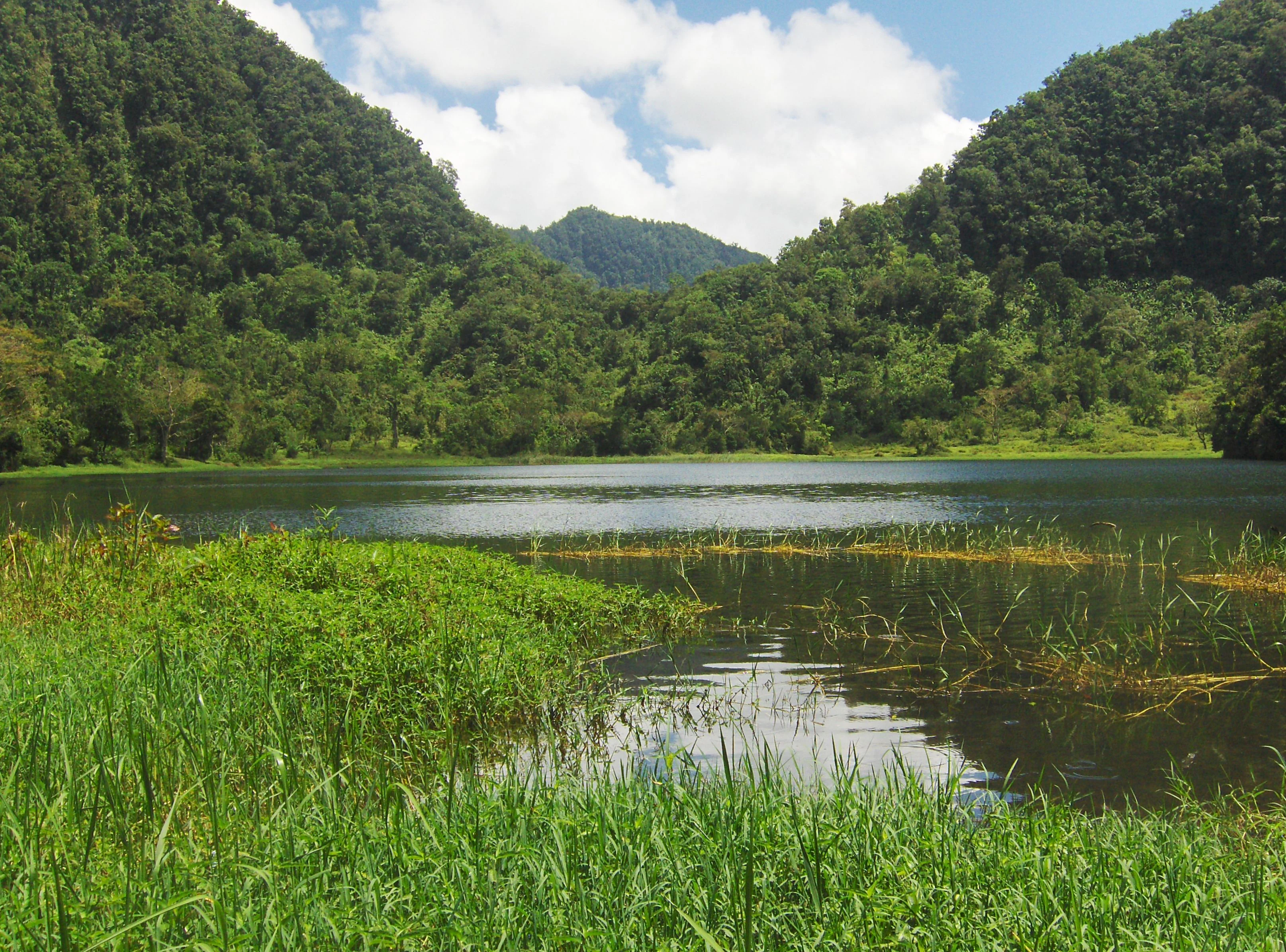 A serene lake reflecting the sky and surrounding lush green mountains, with tall grass in the foreground