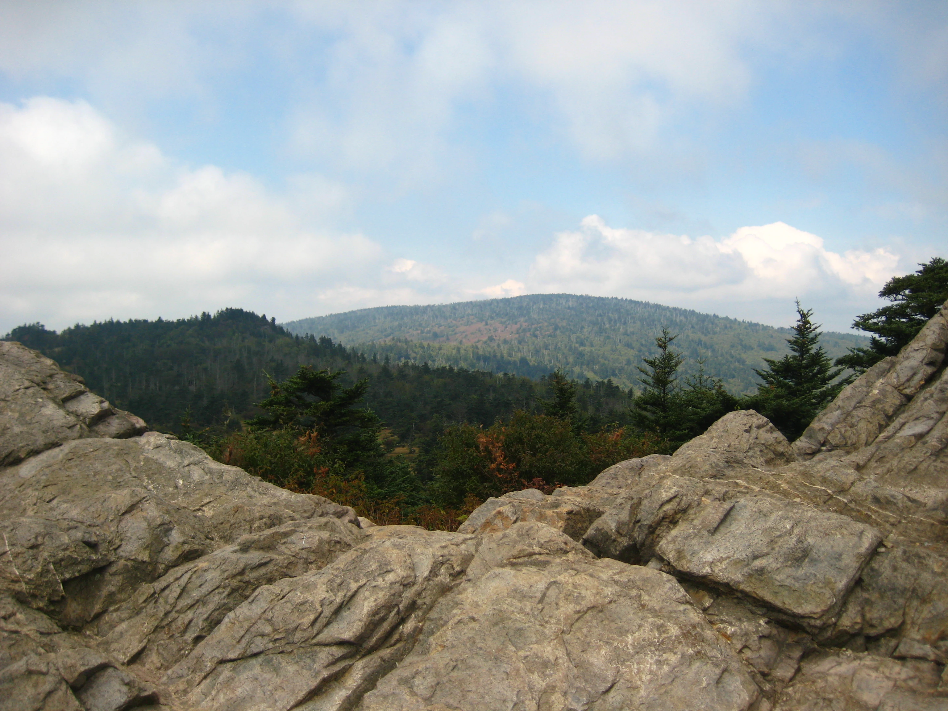 A wide scenic view taken from a rocky outcrop overlooking a dense green forest and a distant rounded mountain peak under a partly cloudy sky.