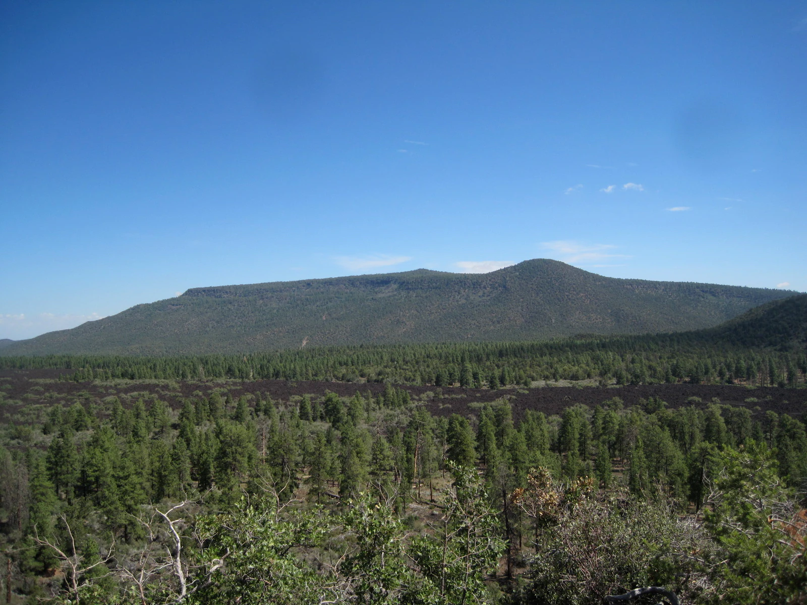 A wide, eye-level landscape shot of a long, dark volcanic mountain ridge covered in green pine forests, viewed from a slightly higher vantage point of a cinder cone under a clear blue sky.