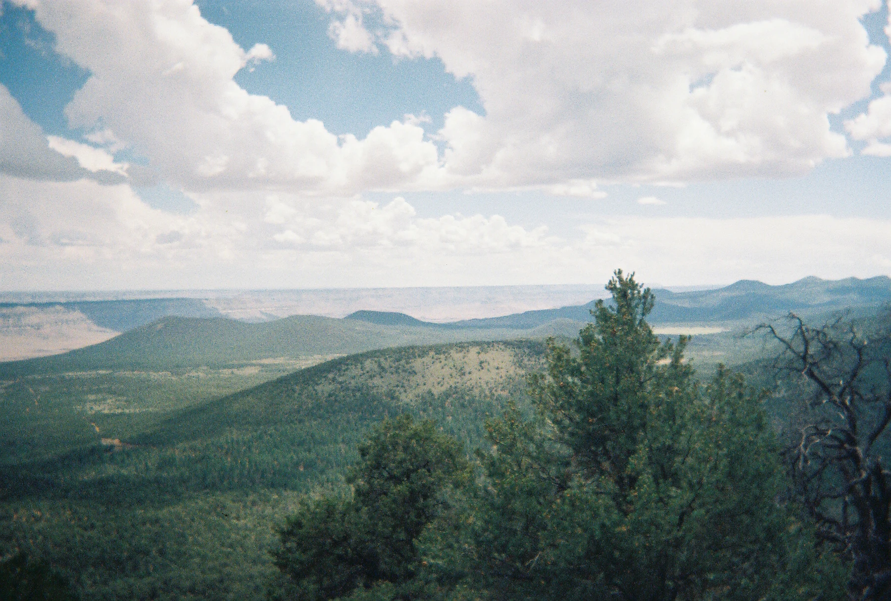 A high angle panoramic view of a dense pine forest spanning rolling hills and ridges under a partly cloudy sky, with a hints of a distant canyon in the far background.