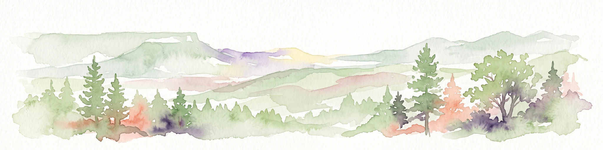 Watercolor painting of a forested landscape featuring pine trees and distant rolling mountains on a white background.