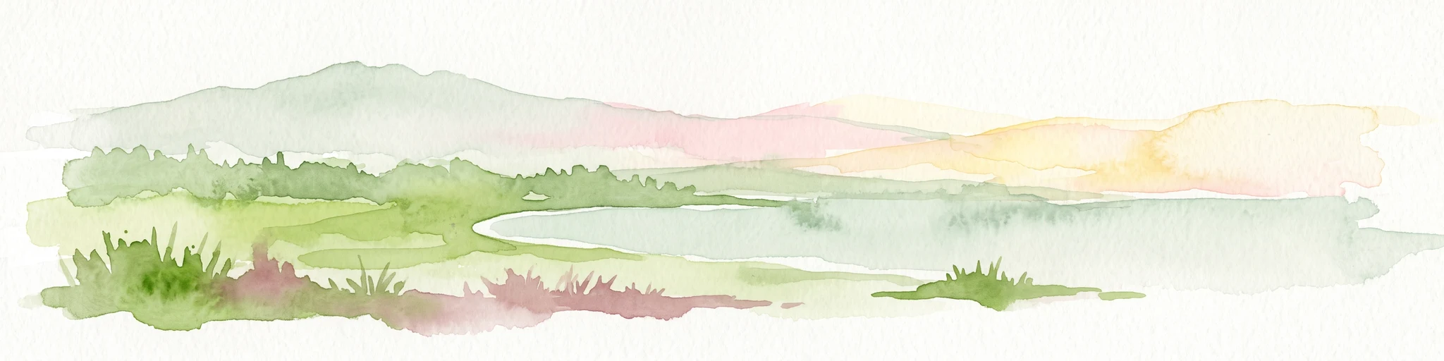 A soft watercolor illustration depicting a coastal landscape with green marshy vegetation, a calm body of water, and rolling hills in the background.