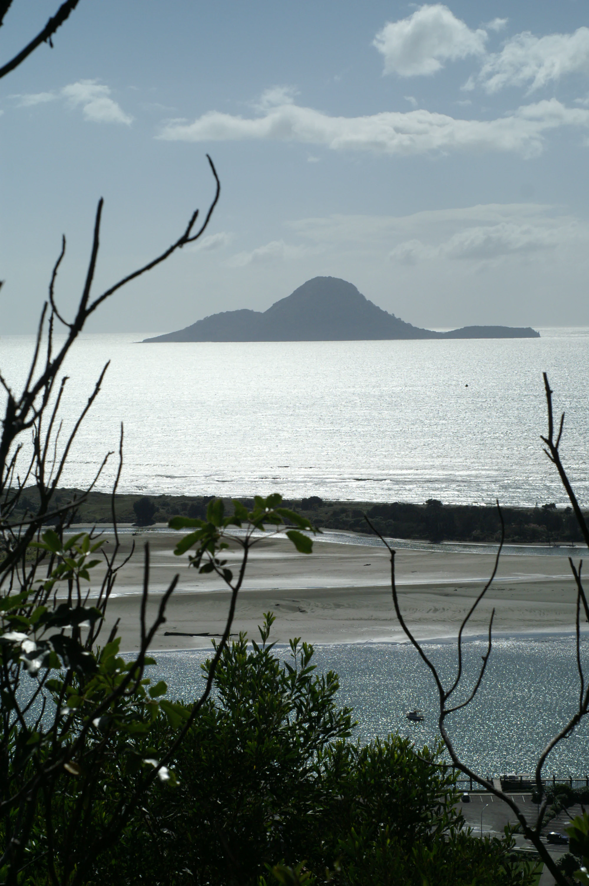 A view looking across a body of water toward the silhouette of Moutohora Island, framed by foreground tree branches.