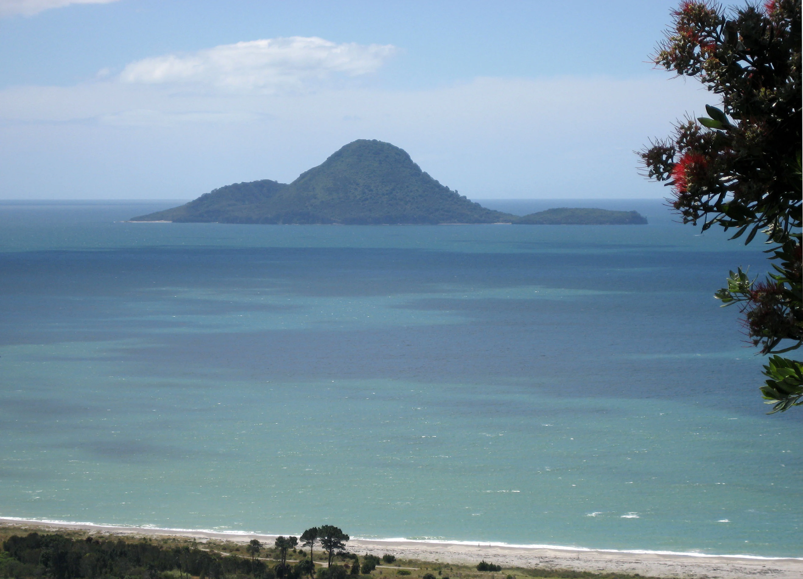 A distant volcanic island rises above a blue sea, framed by a flowering pohutukawa branch in the foreground.