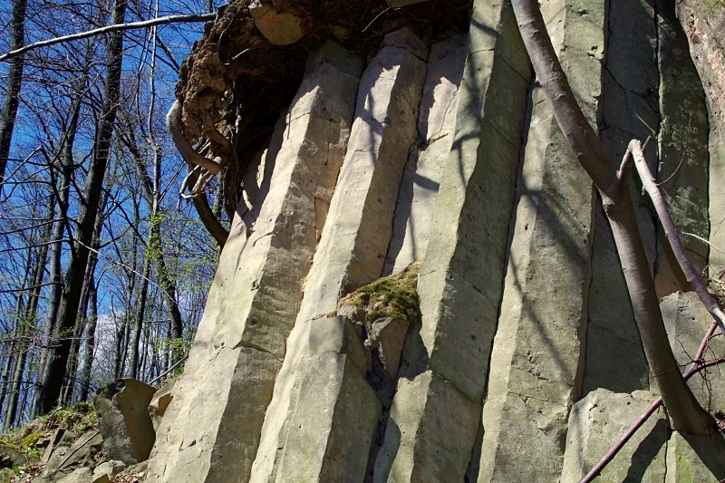 A close-up view of vertical, hexagonal basalt columns forming a cliff face within a forest.