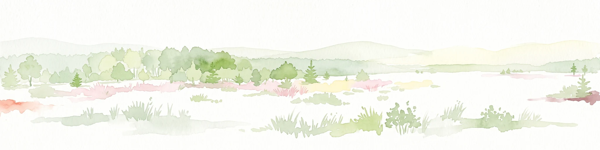 A horizontal watercolor illustration depicting a soft, pale green and reddish wetland environment with scattered trees and marsh vegetation.