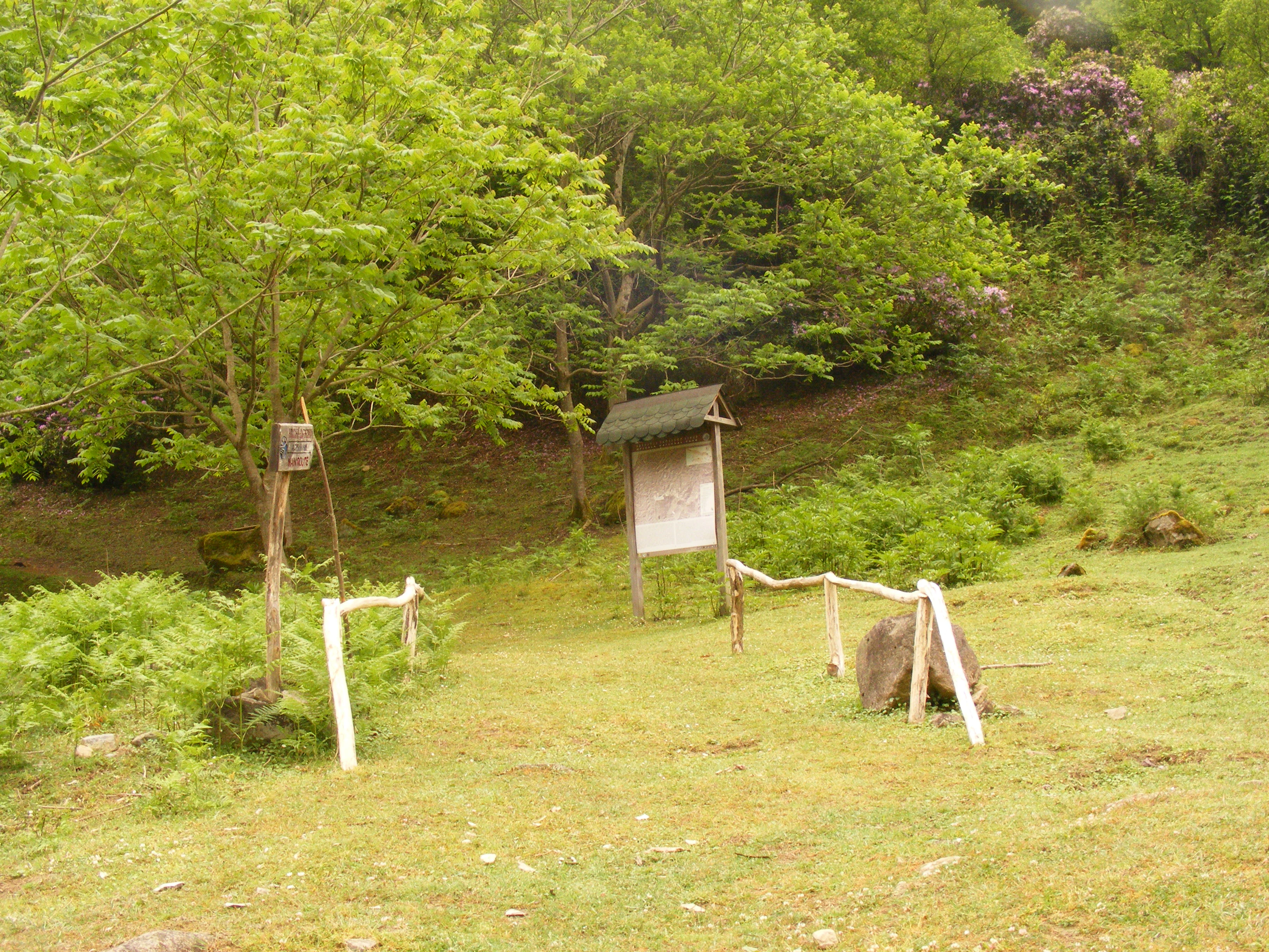 Grassy trail path with white wooden markers, informational signboard, and lush green forest in background