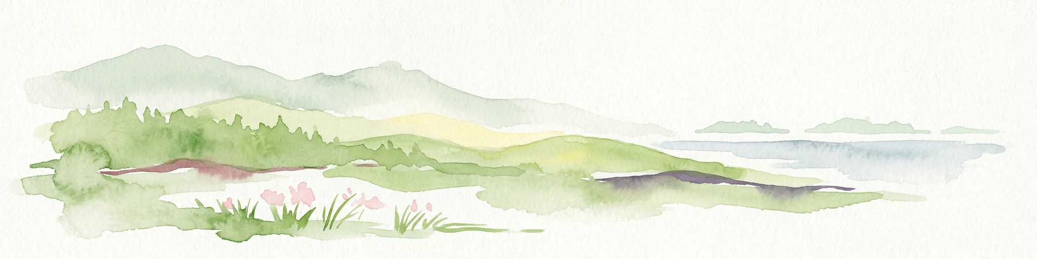 Watercolor illustration of a coastal landscape with rolling hills, green vegetation, pink flowers, and a body of water in the background