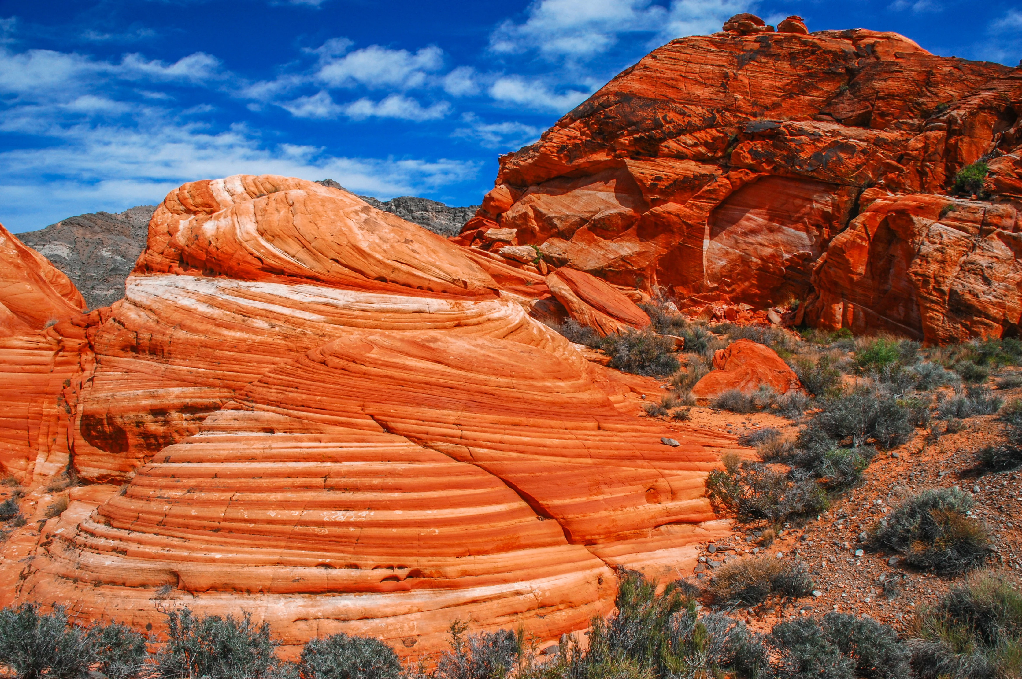 A desert landscape featuring vibrant orange, layered Aztec Sandstone with visible cross bedding patterns under a blue sky.