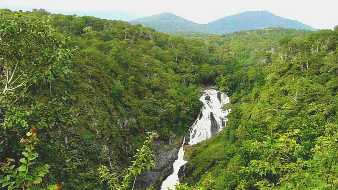 Waterfall with multiple tiers flowing through dense green forest with mountains in background