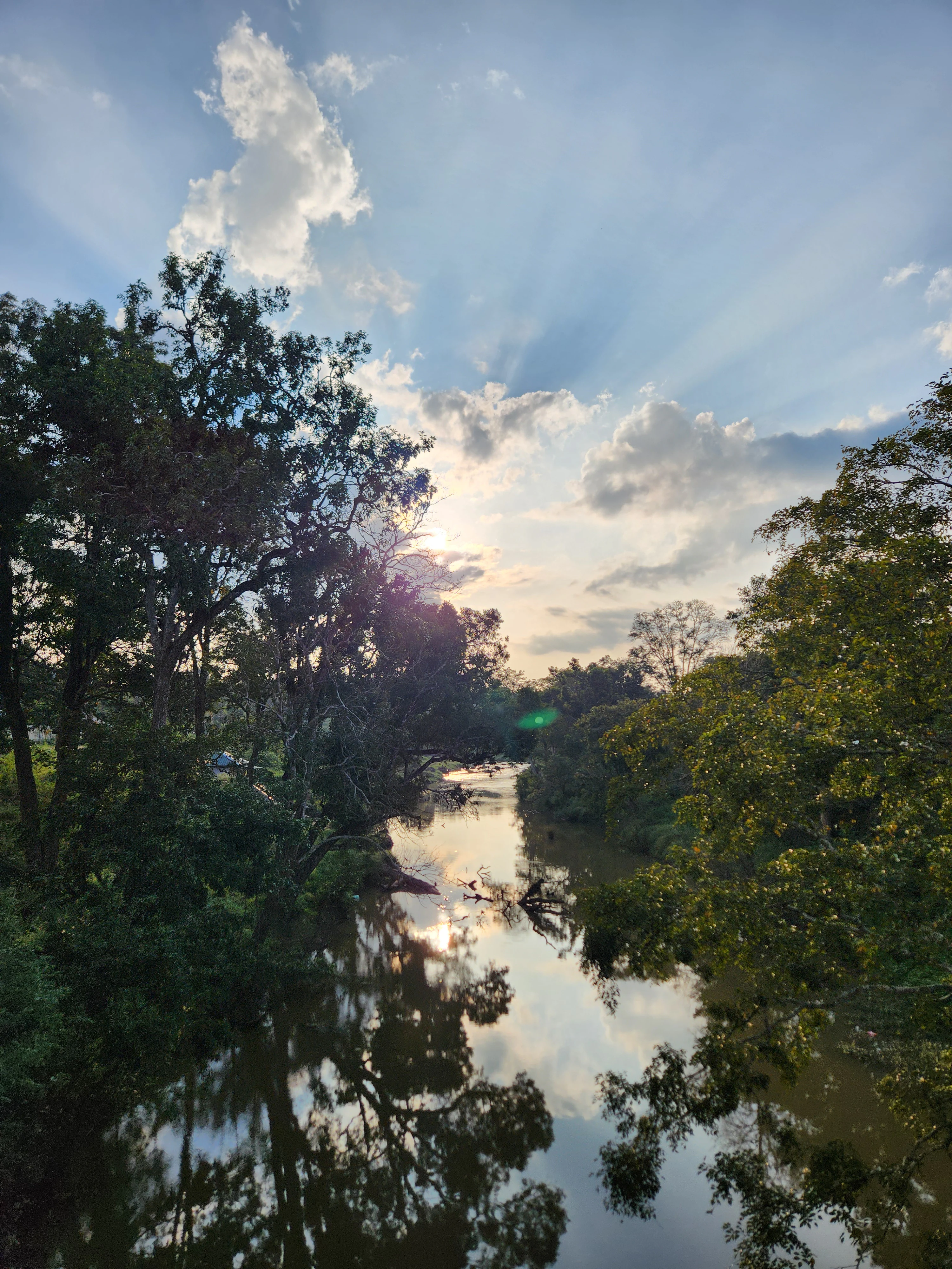 A river reflecting trees and sky at sunset with sun rays visible through clouds