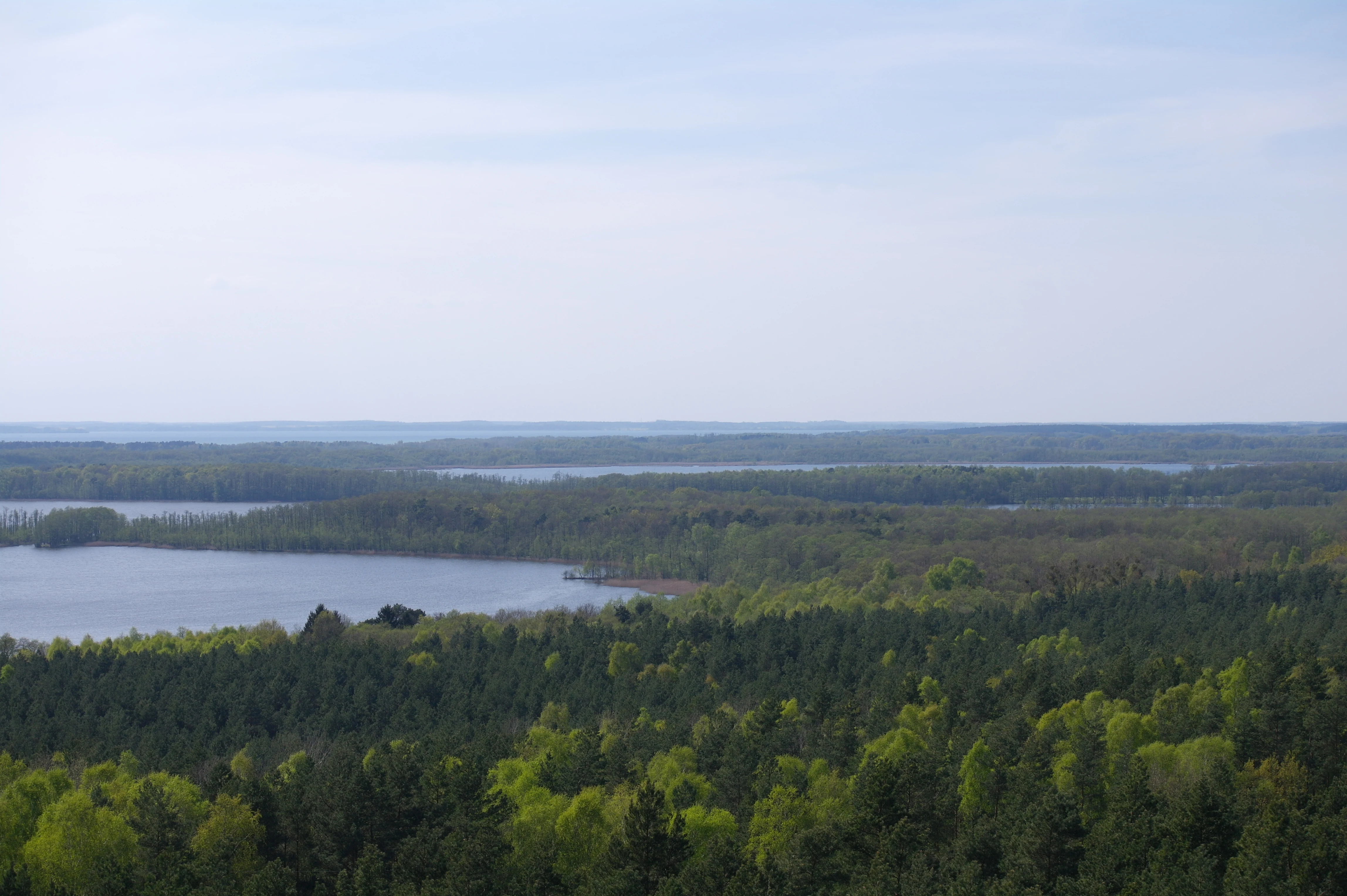 Wide landscape view of Müritz Lake surrounded by dense green forests under a partly cloudy sky