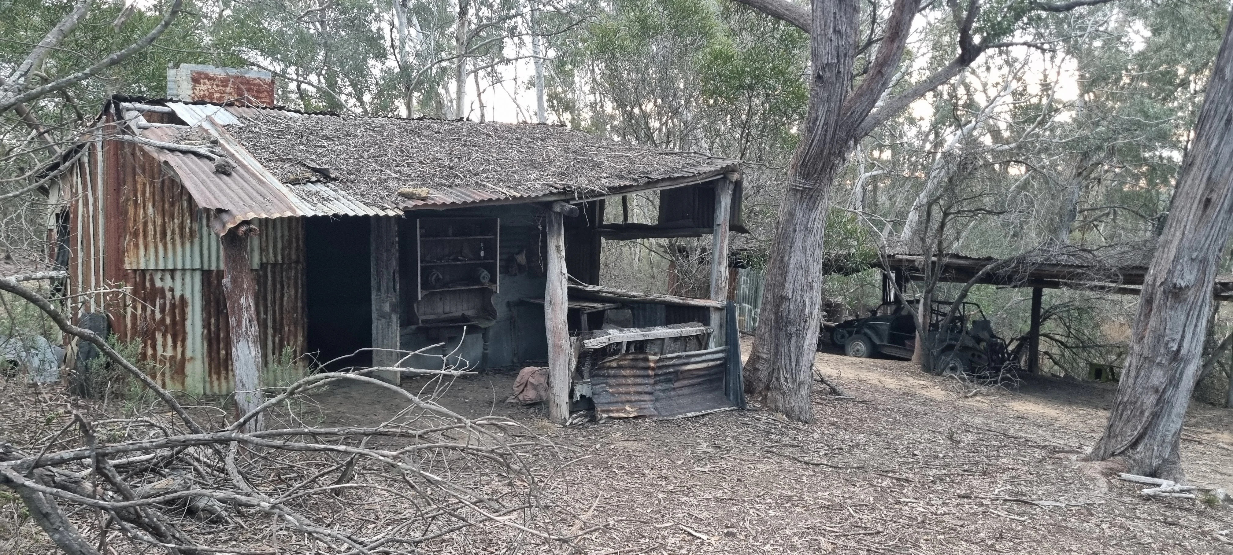 A dilapidated, rustic mining hut made of corrugated metal and wood sits in a sparse, wooded area, showing clear signs of weathering and abandonment.