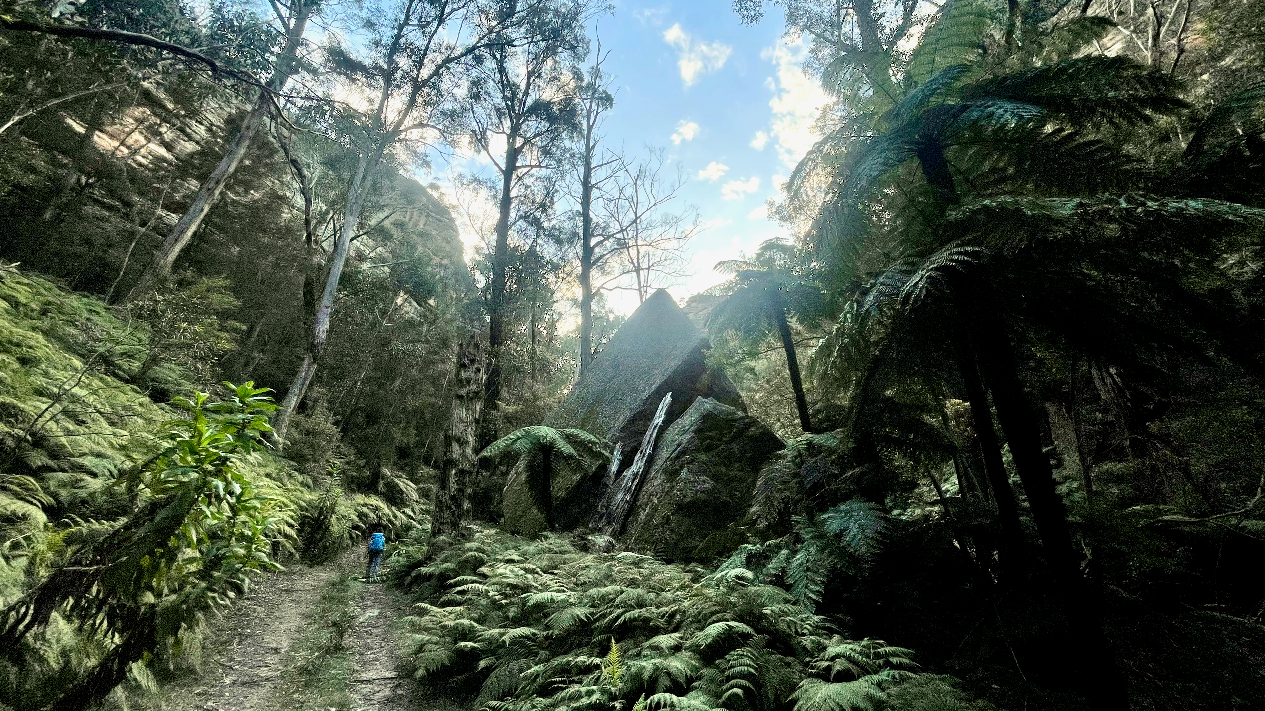 A dirt hiking trail leads through a dense, green forest with large fern plants, tall trees, and prominent rock formations in Mugii Murum-ban State Conservation Area.
