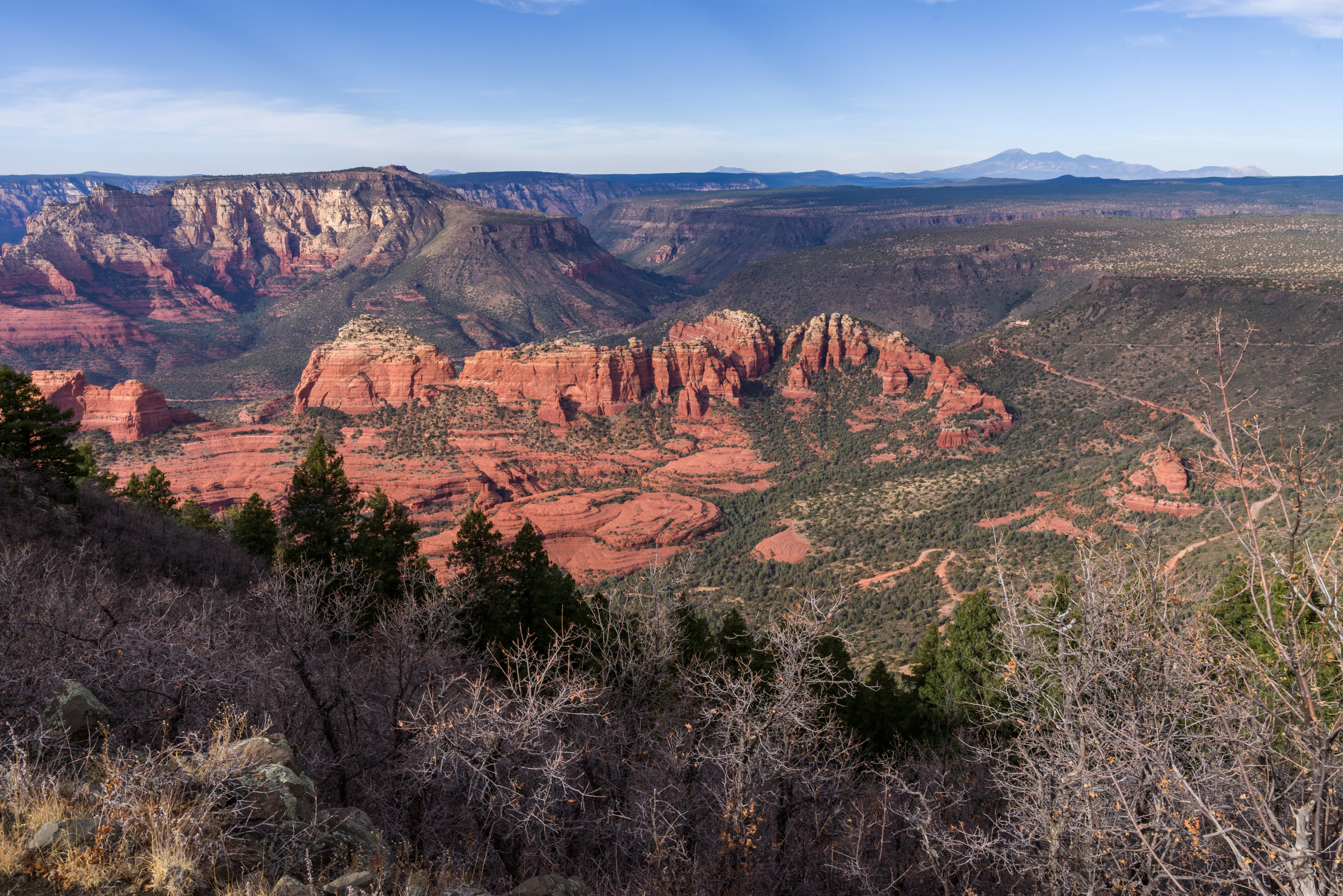 A wide, high-angle landscape shot looking over a rugged, red rock canyon terrain with sparse coniferous forest, under a clear blue sky.