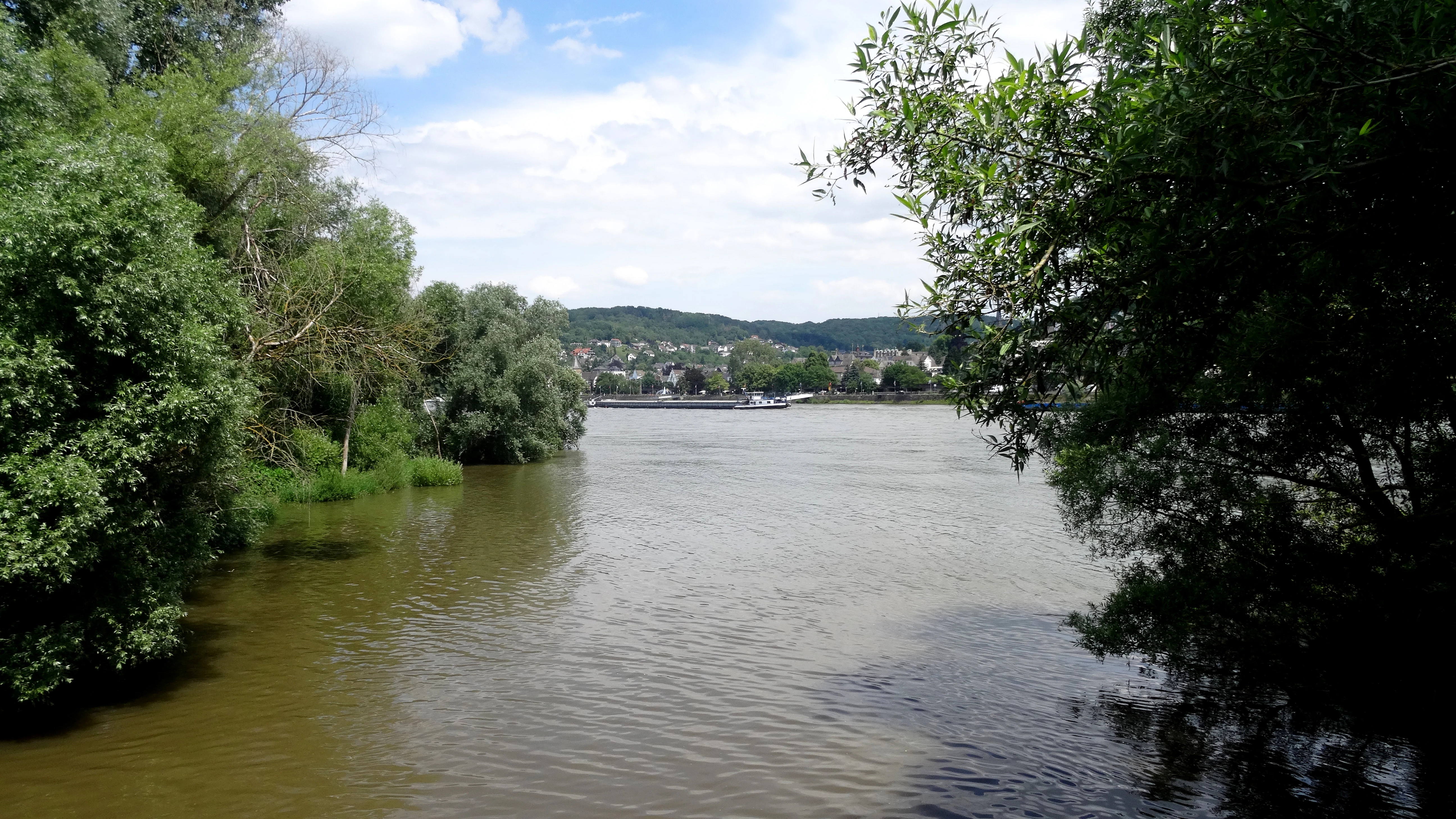 A wide view of a river meeting a larger river, framed by trees on both sides, with distant hills visible in the background.