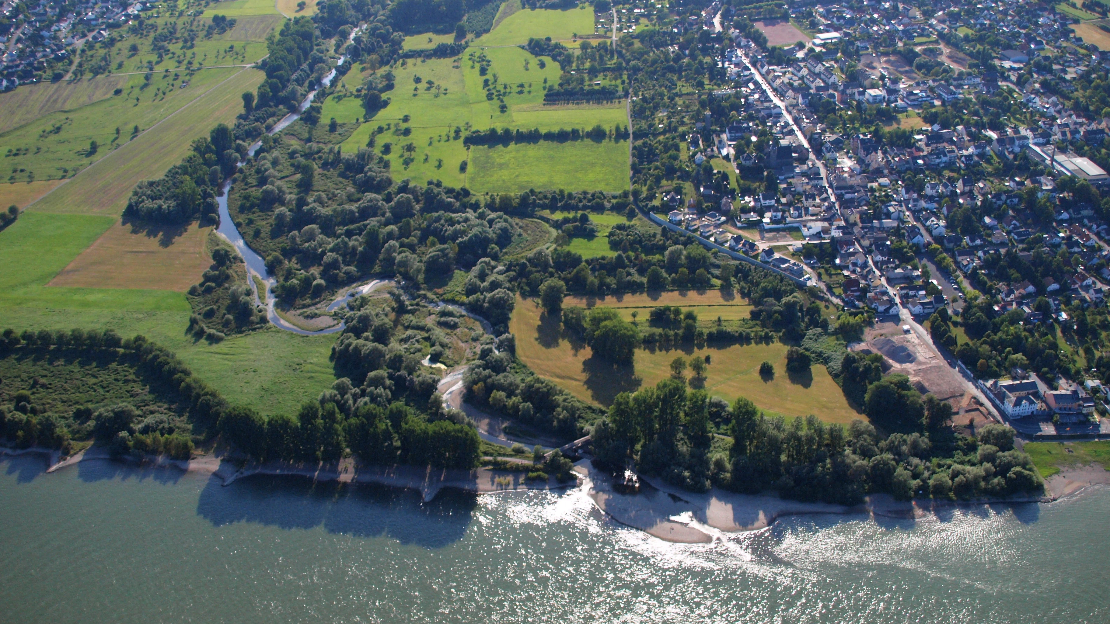 Aerial view of the Ahr River entering the Rhine, with the village of Kripp located along the riverbank.