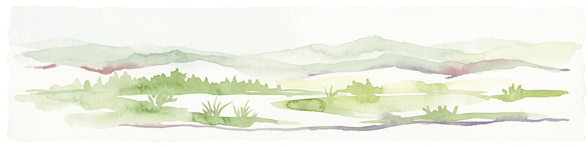 A horizontal watercolor illustration of a soft, green wetland landscape with rolling hills in the background and a winding river in the foreground.