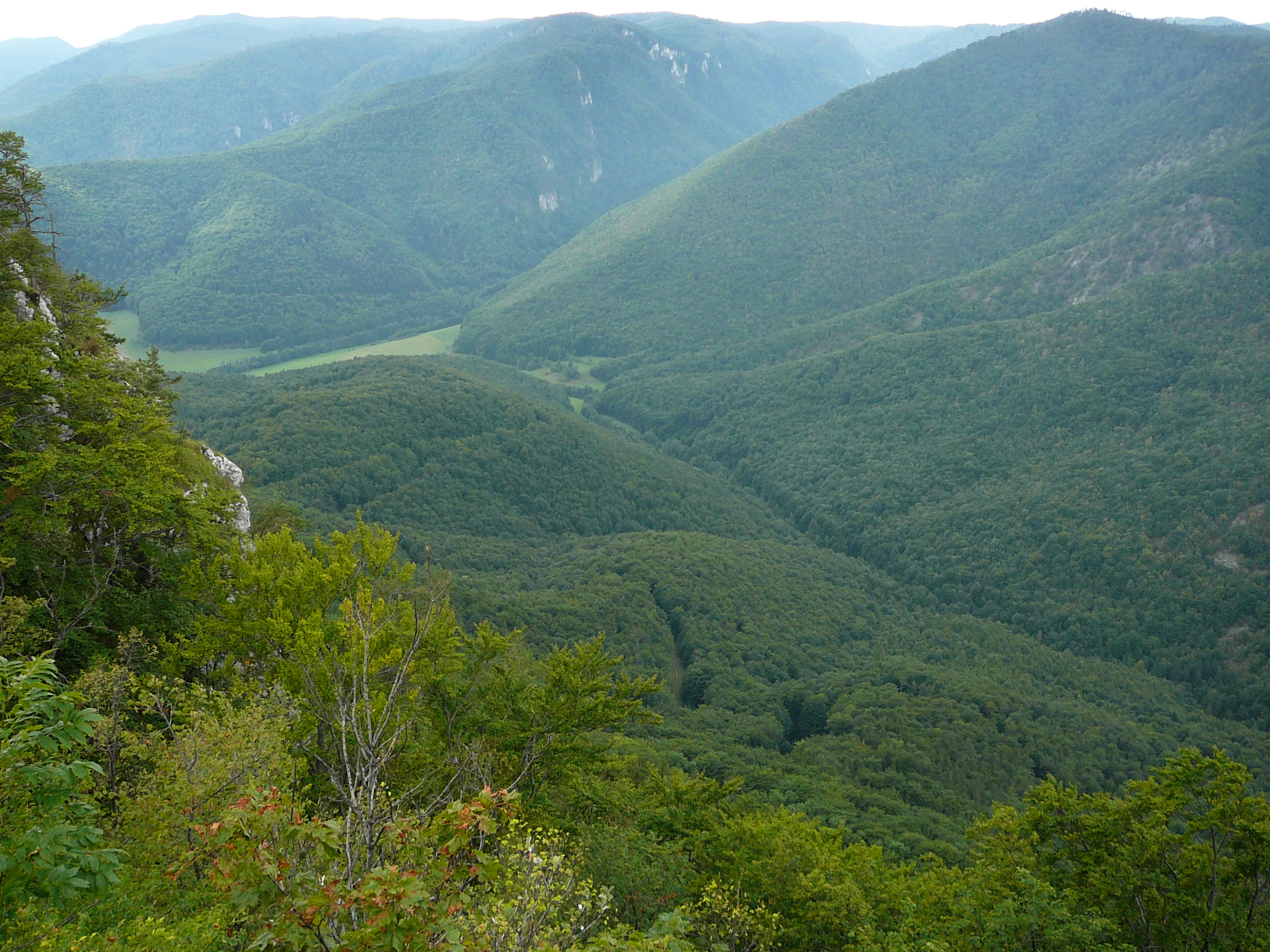 Green forested mountains and valleys in Muránska planina National Park