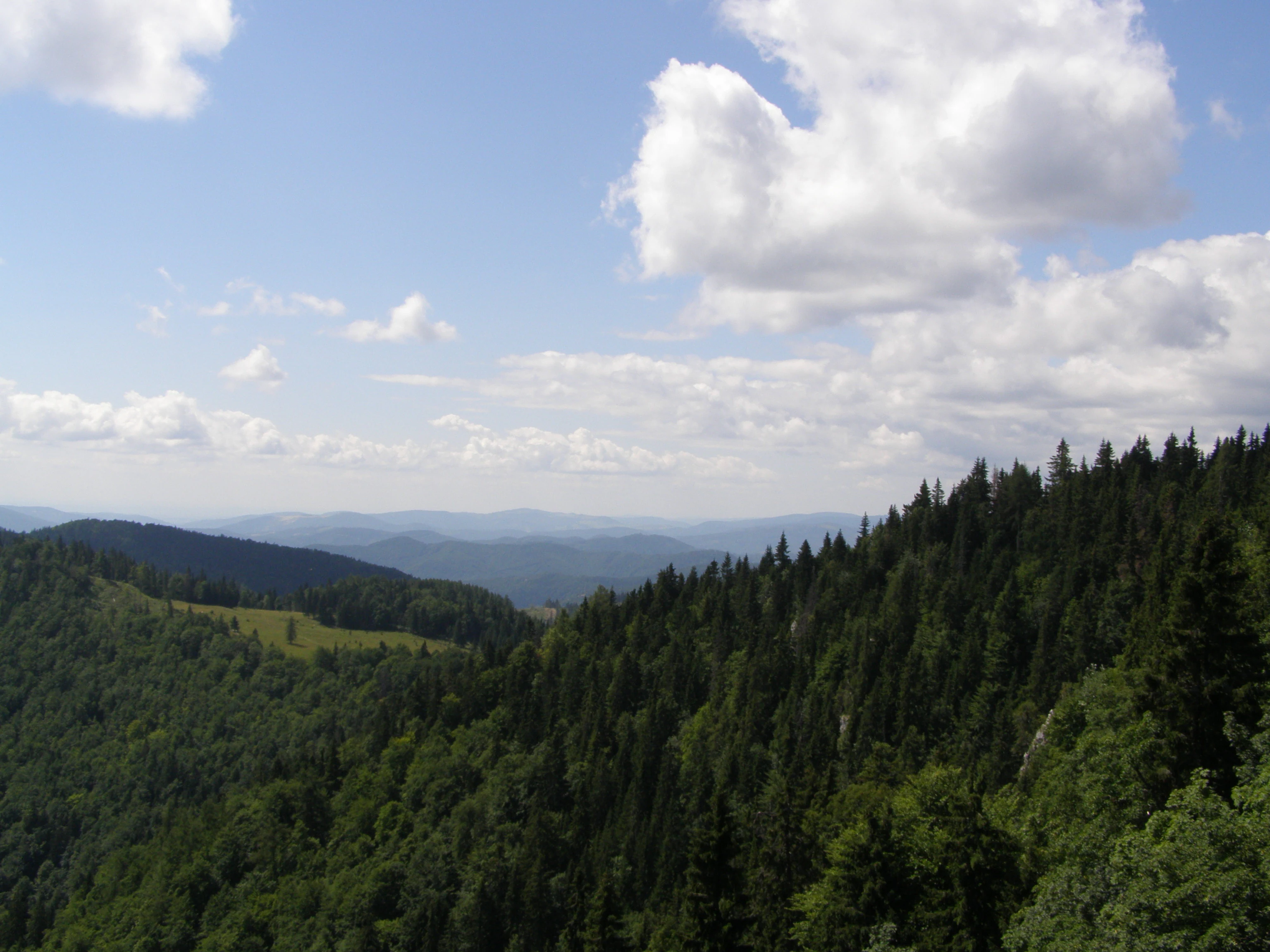 Wide landscape view of dense green forests covering rolling hills with distant mountains under a partly cloudy sky.