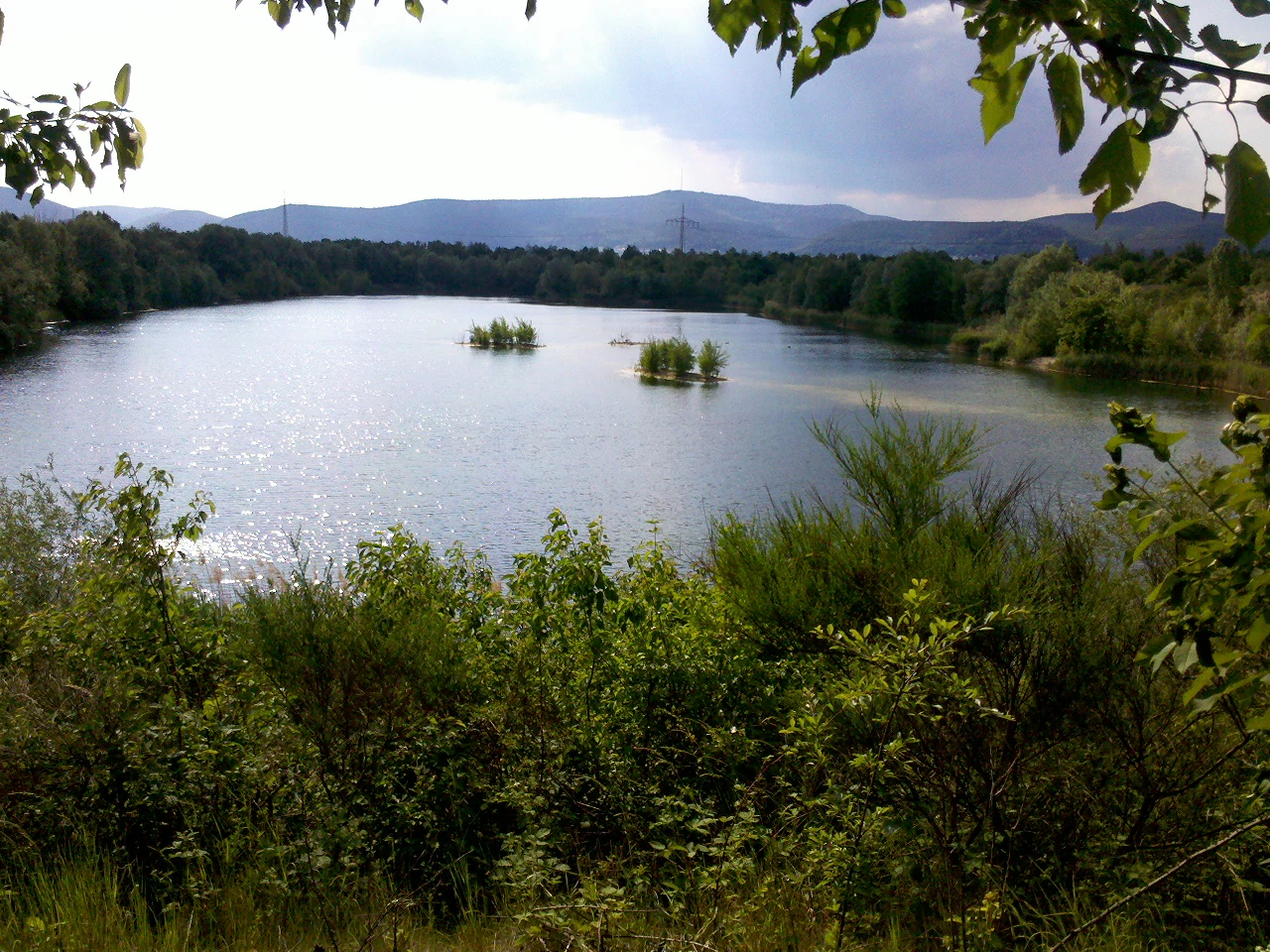 A landscape view overlooking a calm, reflective lake with small islands of vegetation, surrounded by dense trees and shrubs, with distant rolling hills under a cloudy sky.