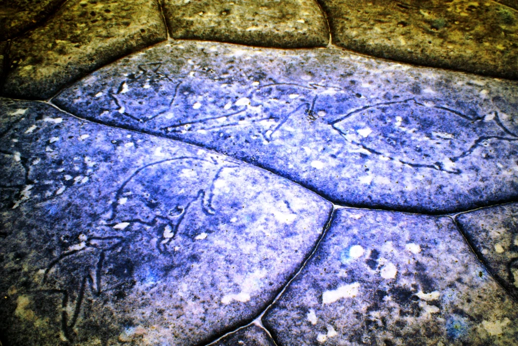 Close-up of a rock surface with etched engravings of kangaroos and other figures