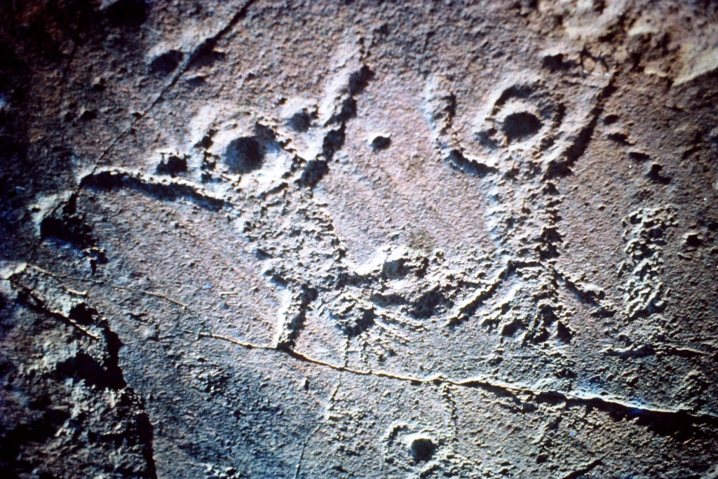 Close-up of rock surface with incised human-like figures and circular motifs