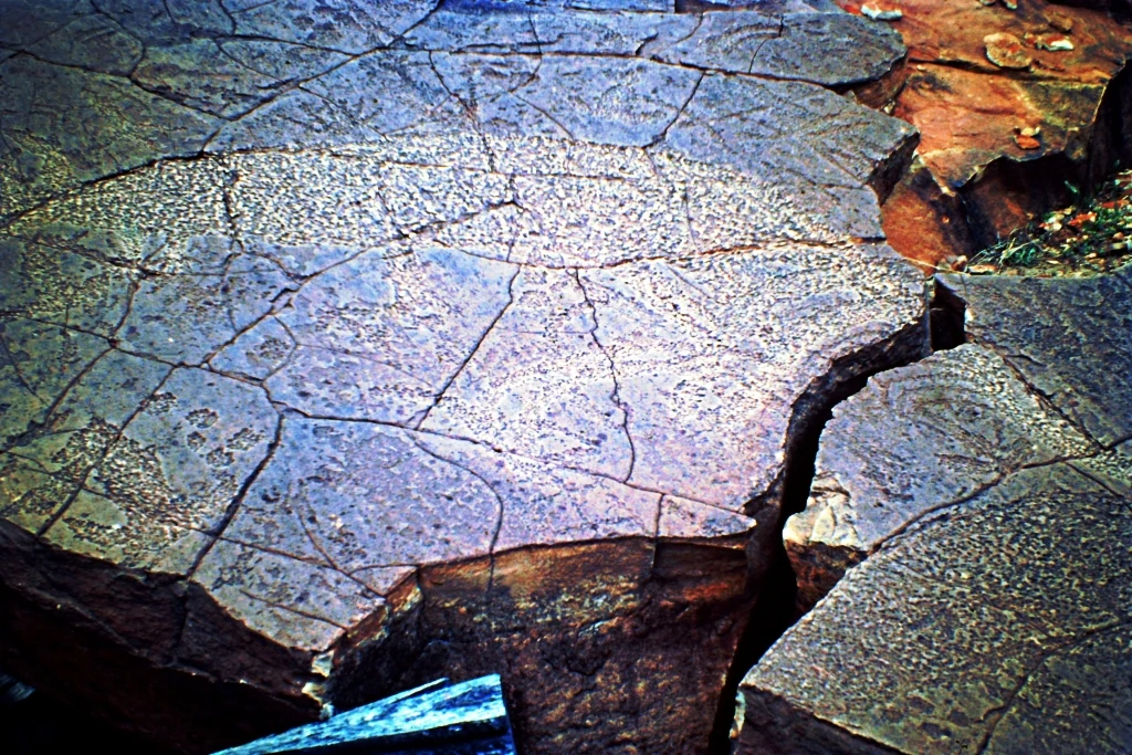 Close-up view of etched rock surfaces with intricate carvings and cracks