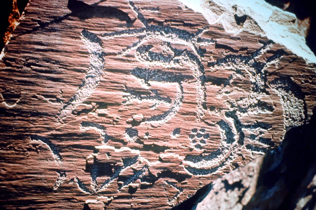 Close-up view of ancient rock art etchings carved into a reddish-brown sandstone rock face