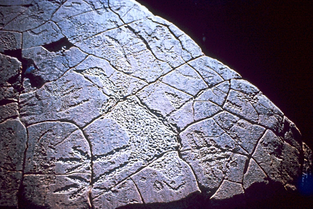 Close-up of a stone surface with etched patterns forming an emu figure, showing cracks and weathered textures