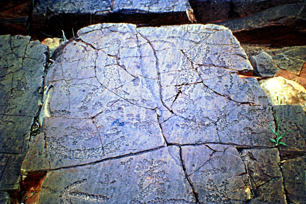 Close-up of ancient rock etchings on a stone surface showing detailed carvings and natural rock texture
