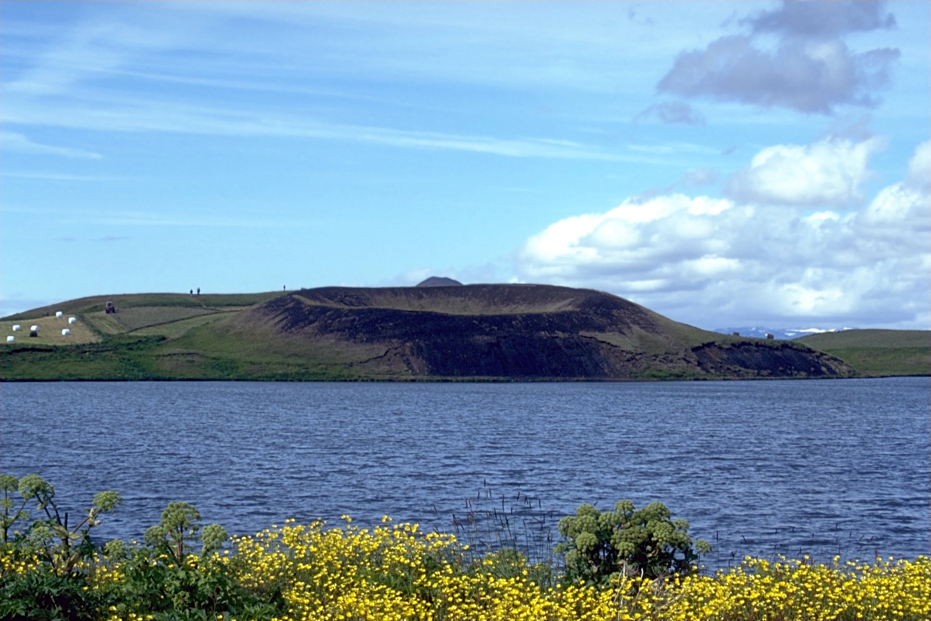 A wide view of a dark, grass-covered volcanic pseudocrater rising from the edge of a deep blue lake, with yellow wildflowers in the foreground.