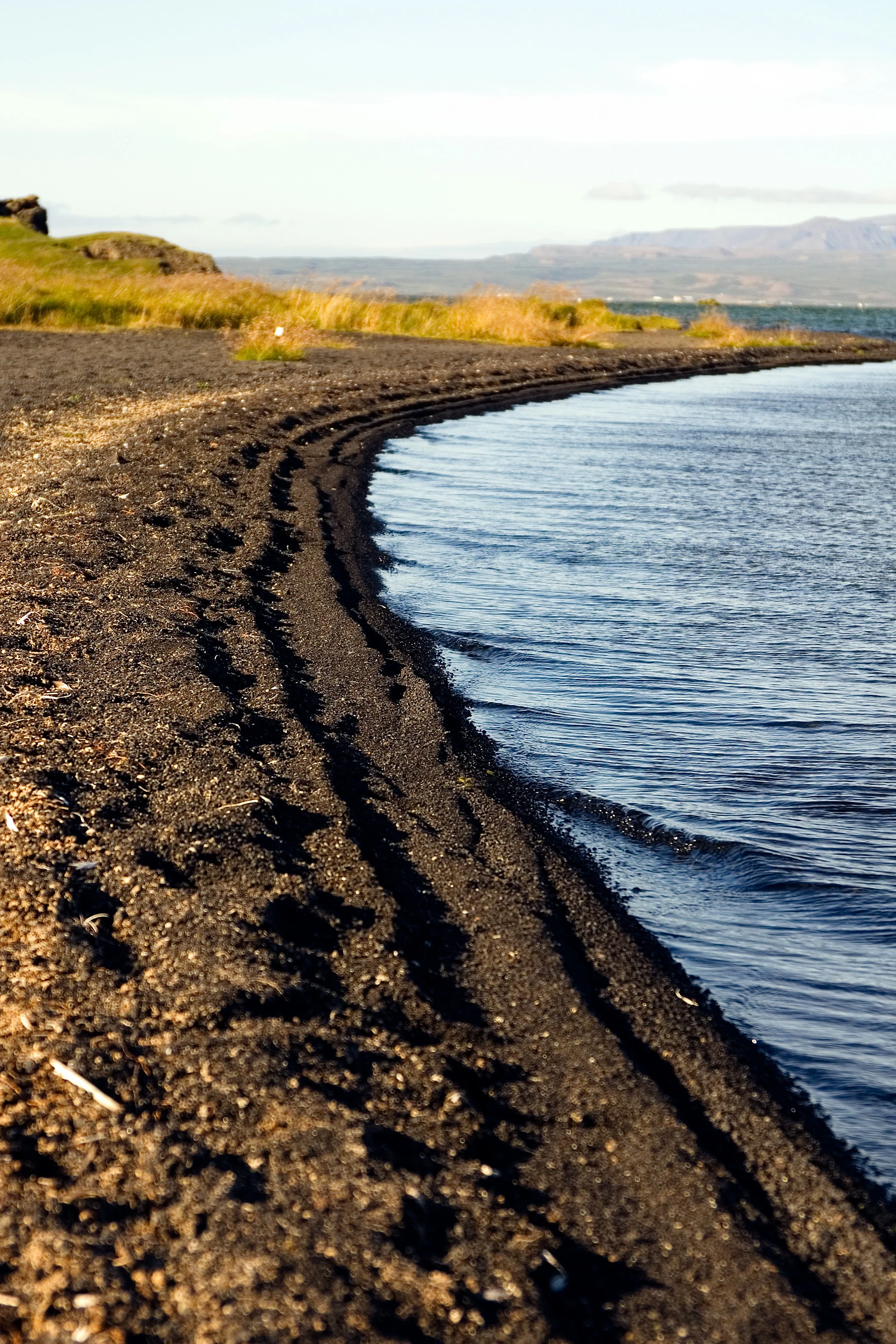 A wide angle view of a black sand beach curving along the water edge of Lake Myvatn with grassy mounds and distant mountains in the background.