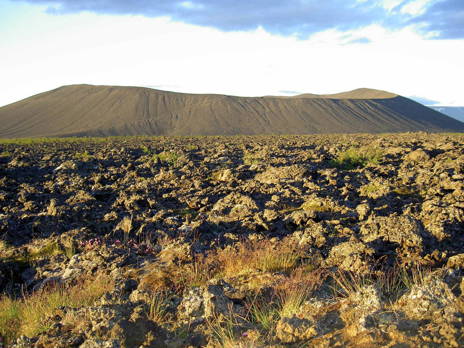 A vast, rough field of dark, mossy lava rocks stretching toward a large, symmetrical volcanic crater under a light sky.