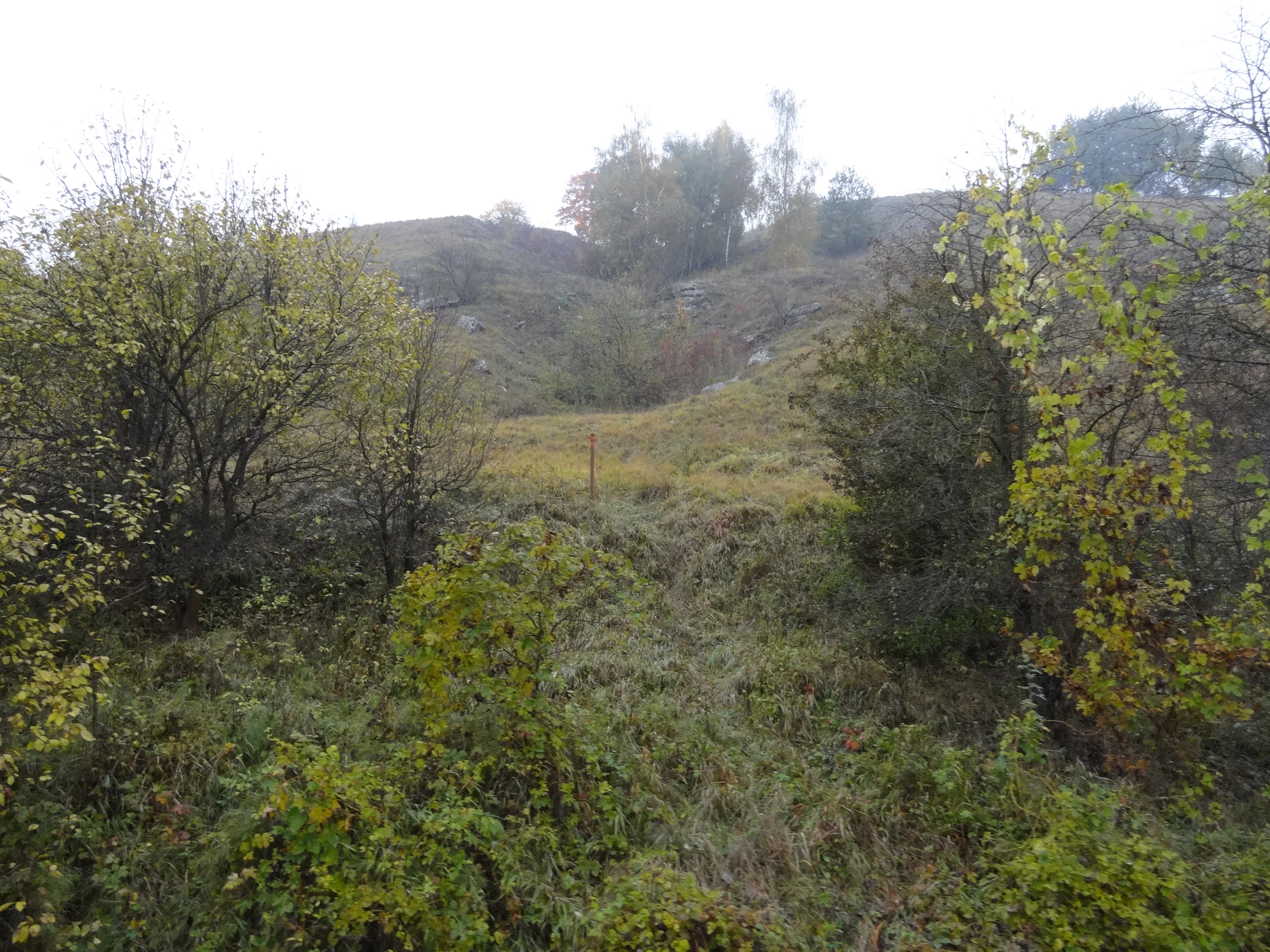 A slightly misty, overgrown landscape view of Na Dlouhé stráni with low hills, scattered trees, and shrubs under an overcast sky.