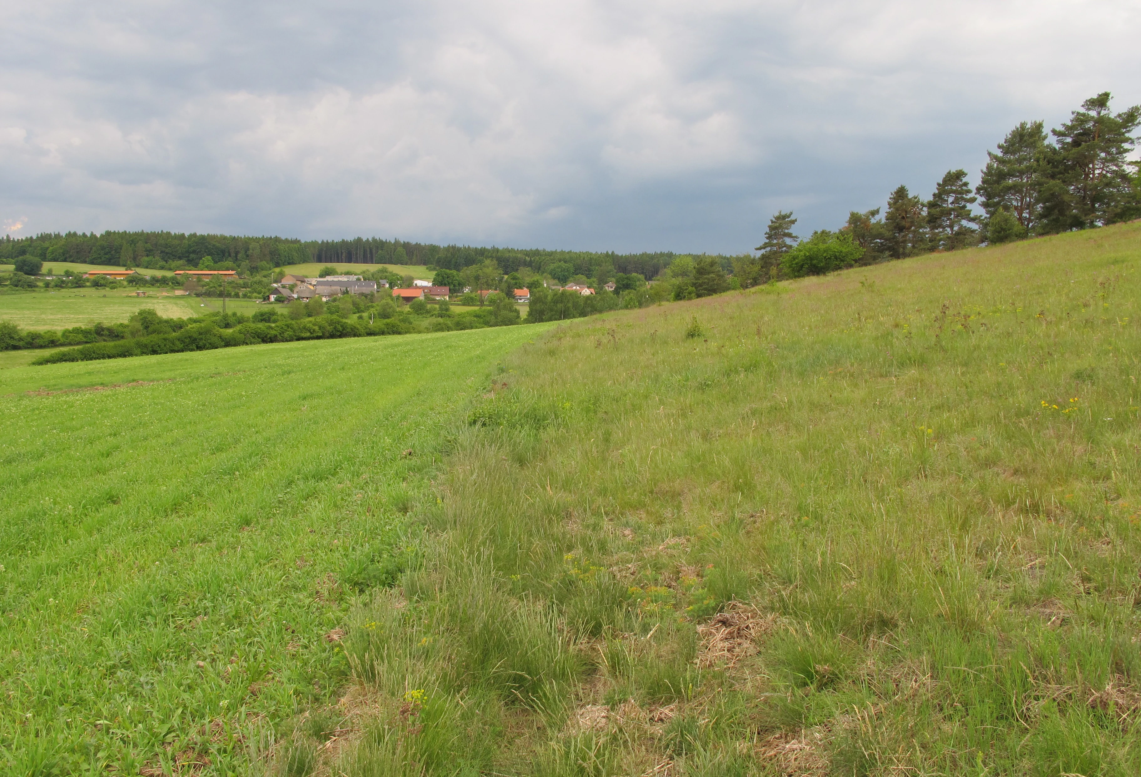 A sloped, grassy meadow in the foreground leading toward a distant rural village and a tree-lined horizon under a cloudy sky.