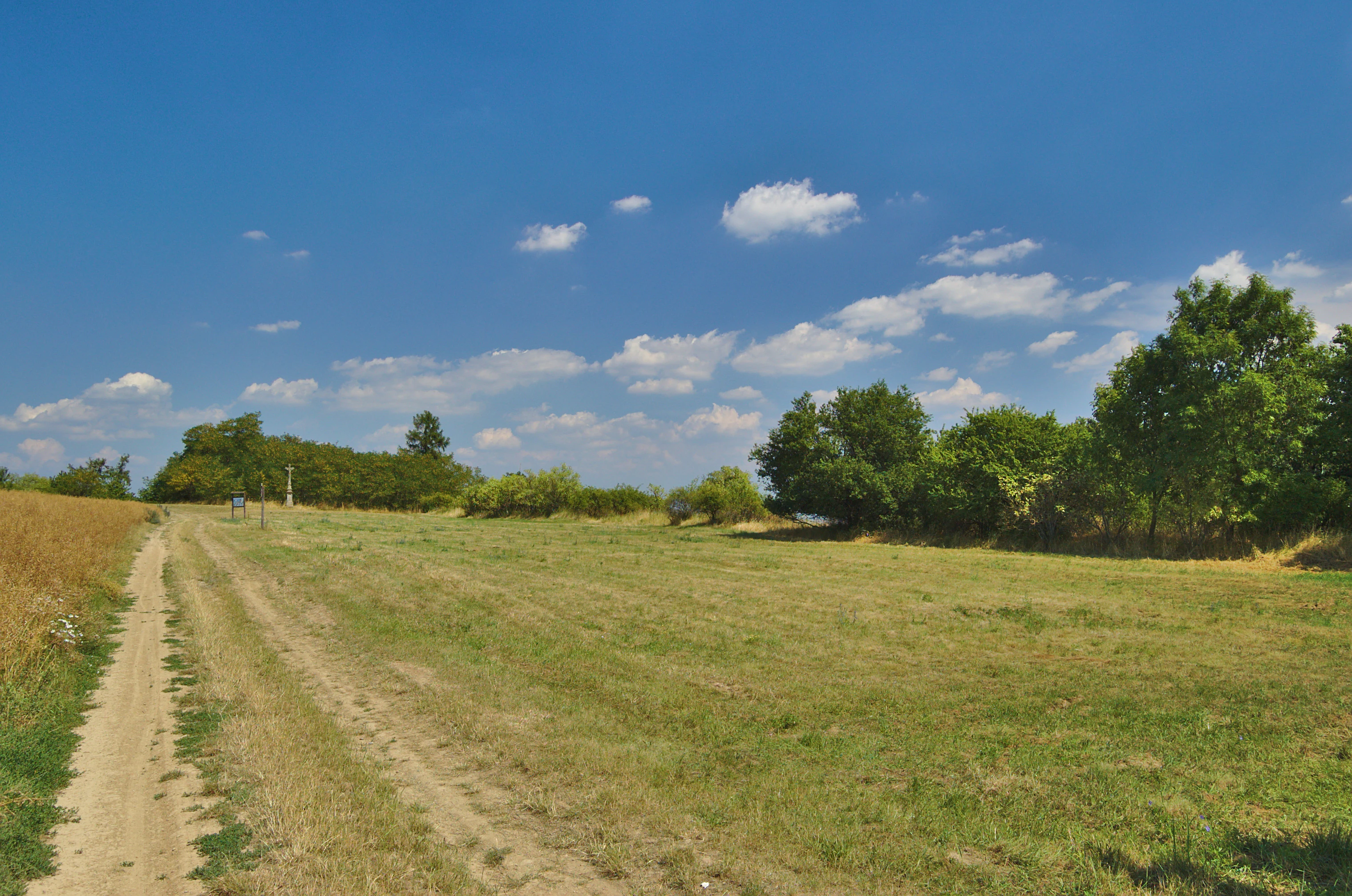 A wide view of a dry, grassy meadow at Na hůrkách in the Czech Republic, with a dirt trail on the left and a line of deciduous trees under a sunny blue sky.