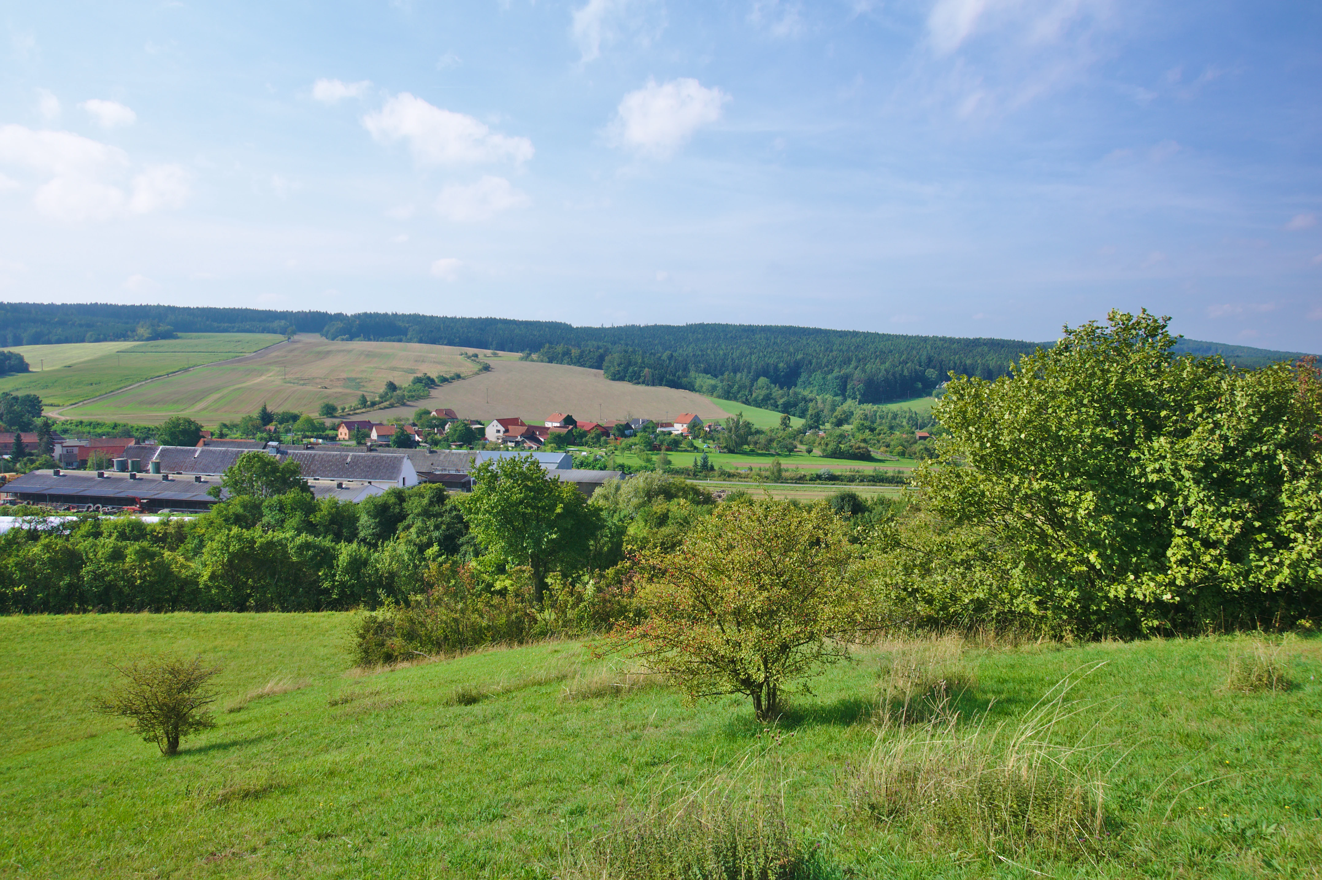 A wide outdoor shot looking over a rolling green grassy hill in the foreground, down toward a small village with buildings and trees in the midground, backed by rolling hills and a forest under a blue sky.