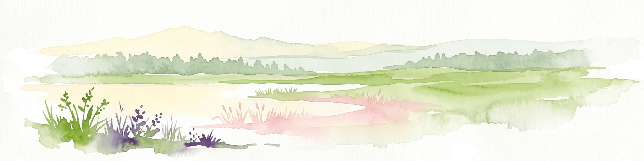 Una suave ilustración de acuarela pictórica de una escena de humedal con suaves campos verdes, colinas lejanas difuminadas y vegetación de bajo crecimiento en primer plano sobre un fondo blanco.