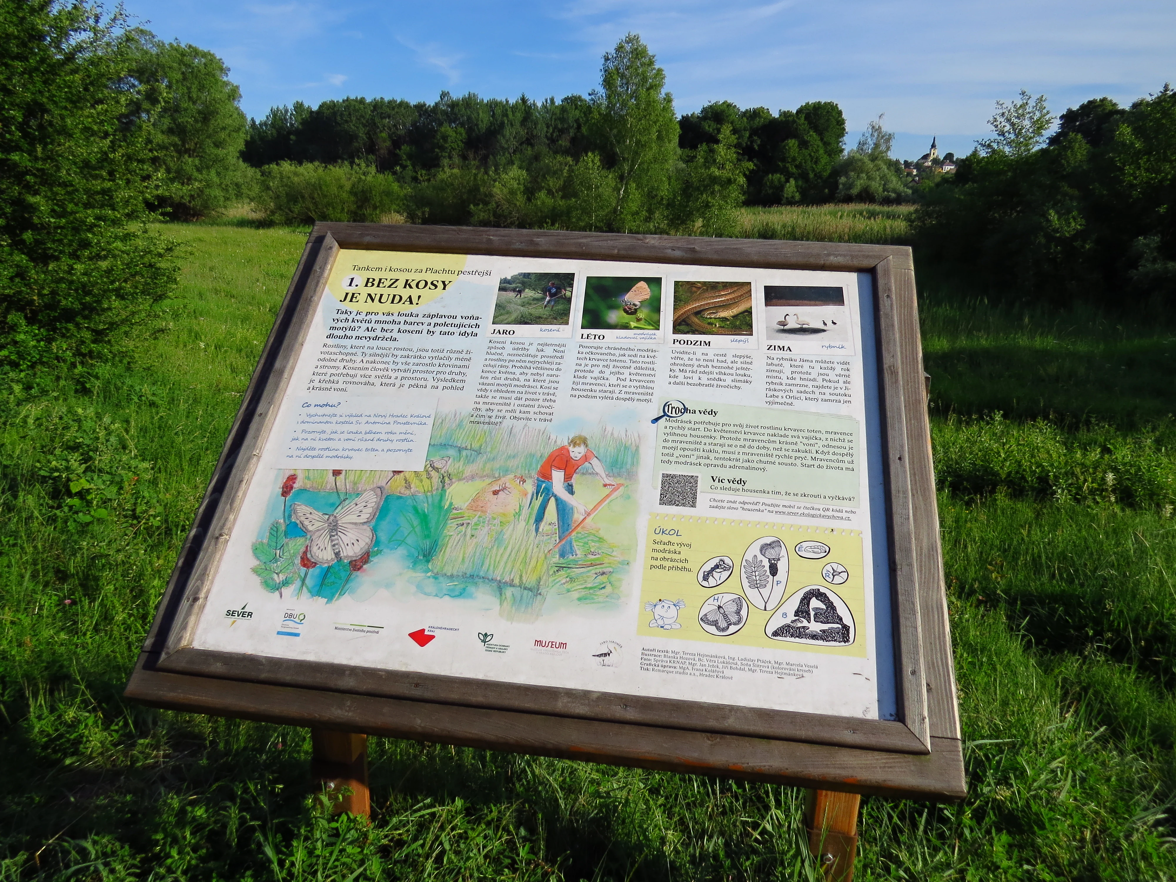 An eye-level view of a wooden-framed interpretive sign standing in a grassy meadow, featuring illustrations and text about local conservation efforts.