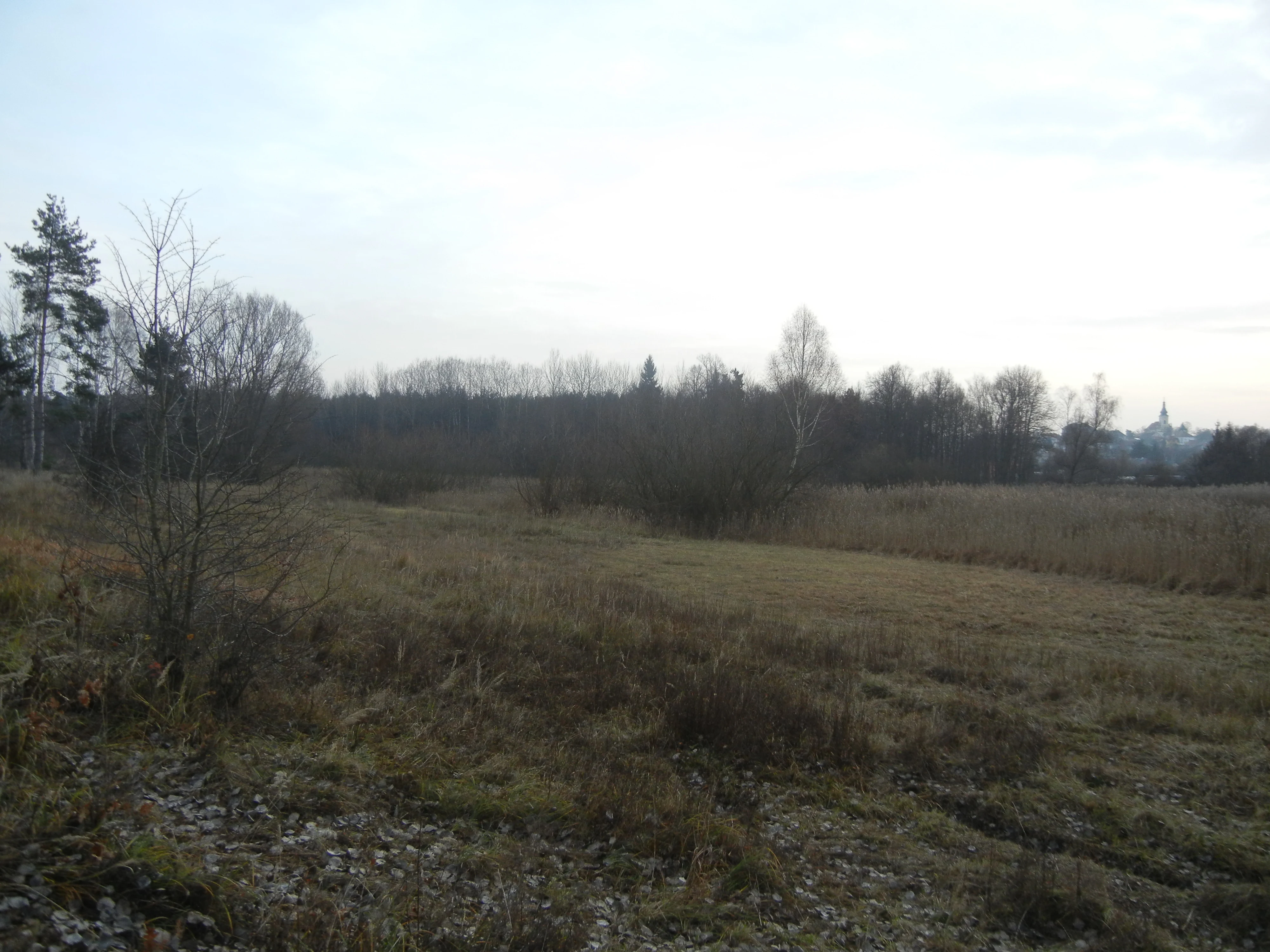 Heathland at Na Plachte 3
