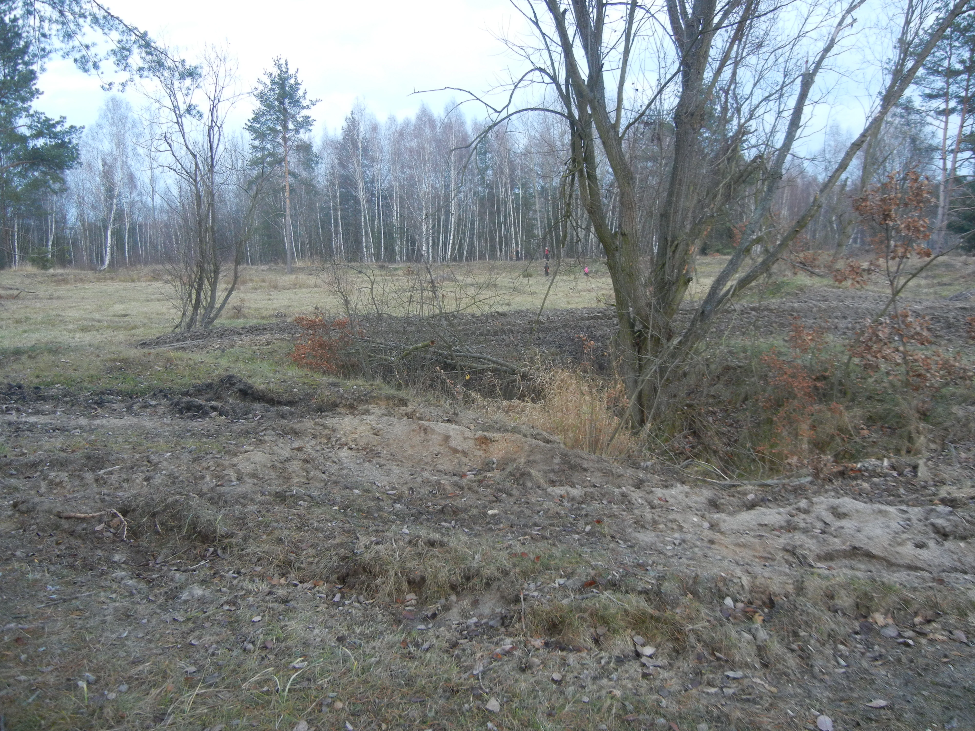Disturbance at Na Plachte 3