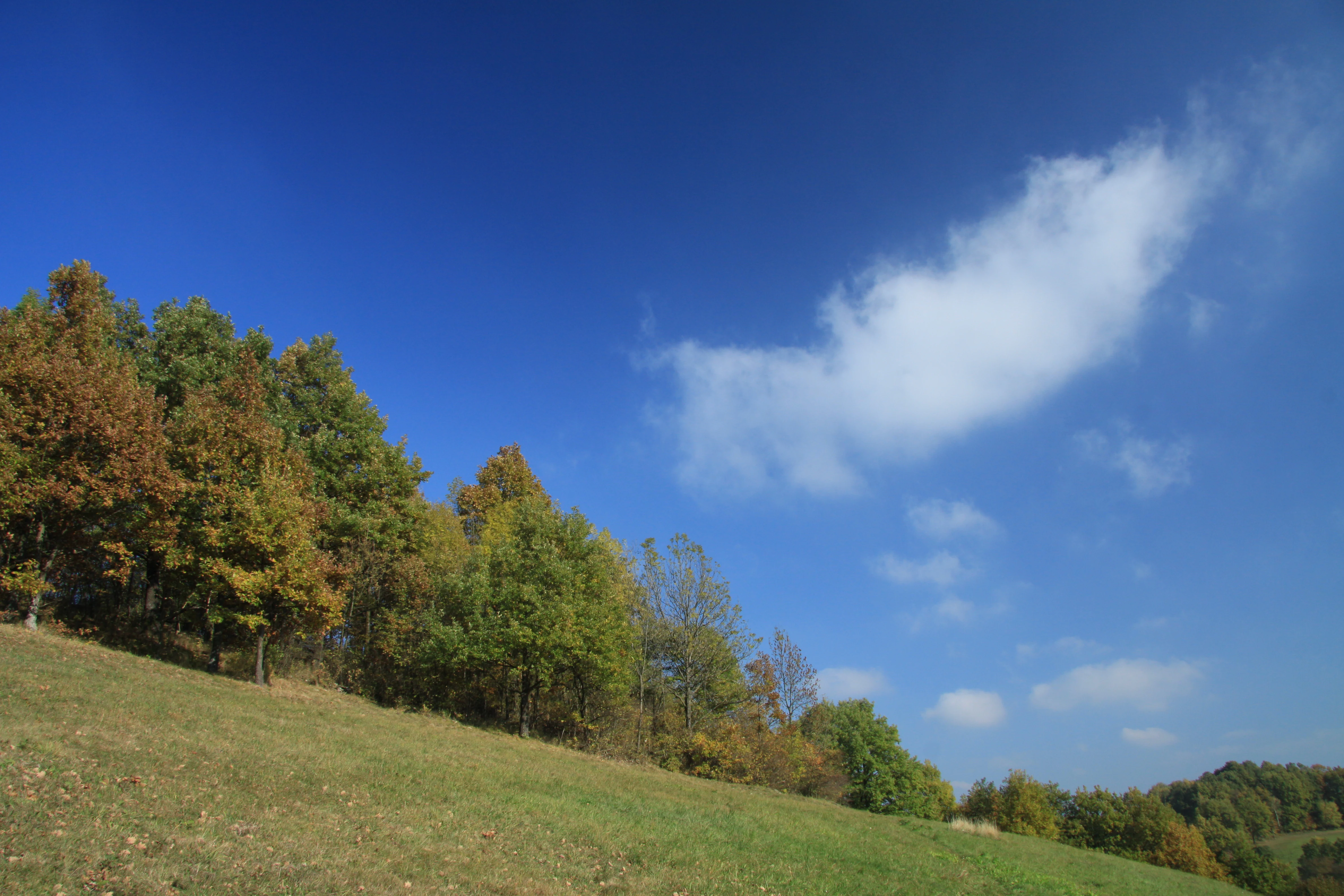 A sloped, grassy meadow at Na Stráži in autumn, bordered by trees with turning leaves under a bright blue sky with a few white clouds.