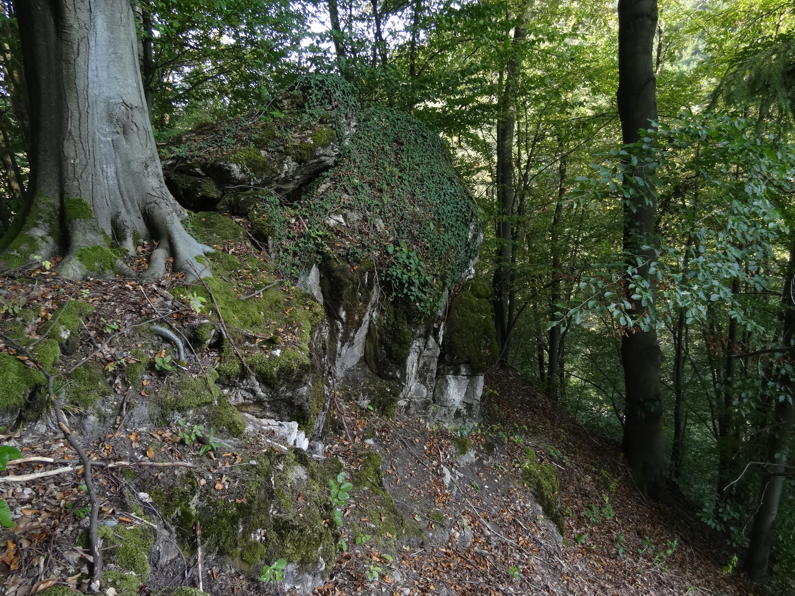 A large moss-covered limestone rock formation sits on a forested hillside at Na Vápenici, surrounded by mature trees.