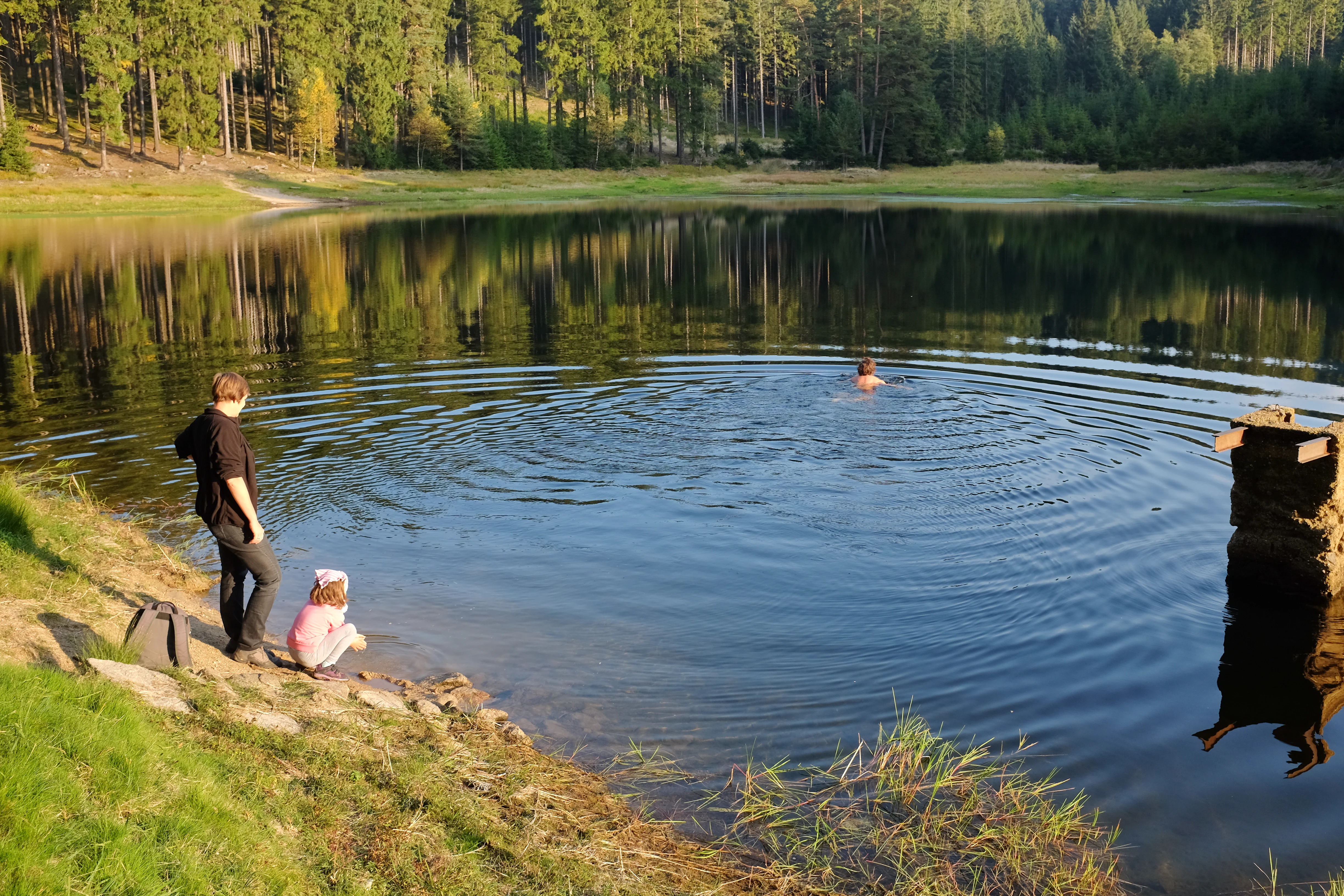 A calm pond surrounded by a dense forest, with people standing at the grassy shoreline and one person swimming in the water.