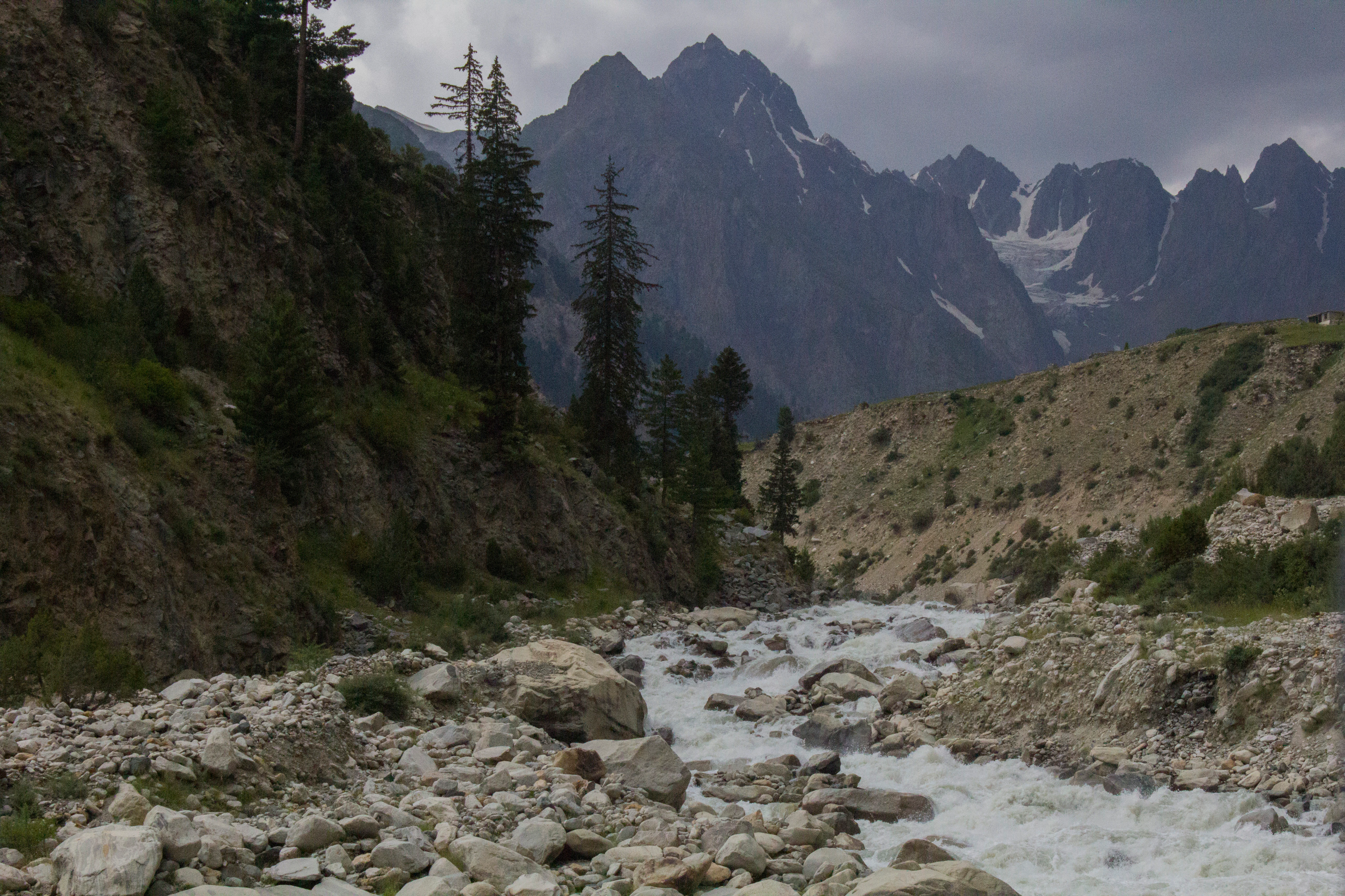 Un río rocoso de corriente rápida serpentea por un valle montañoso y escarpado, con pinos y picos nevados al fondo.