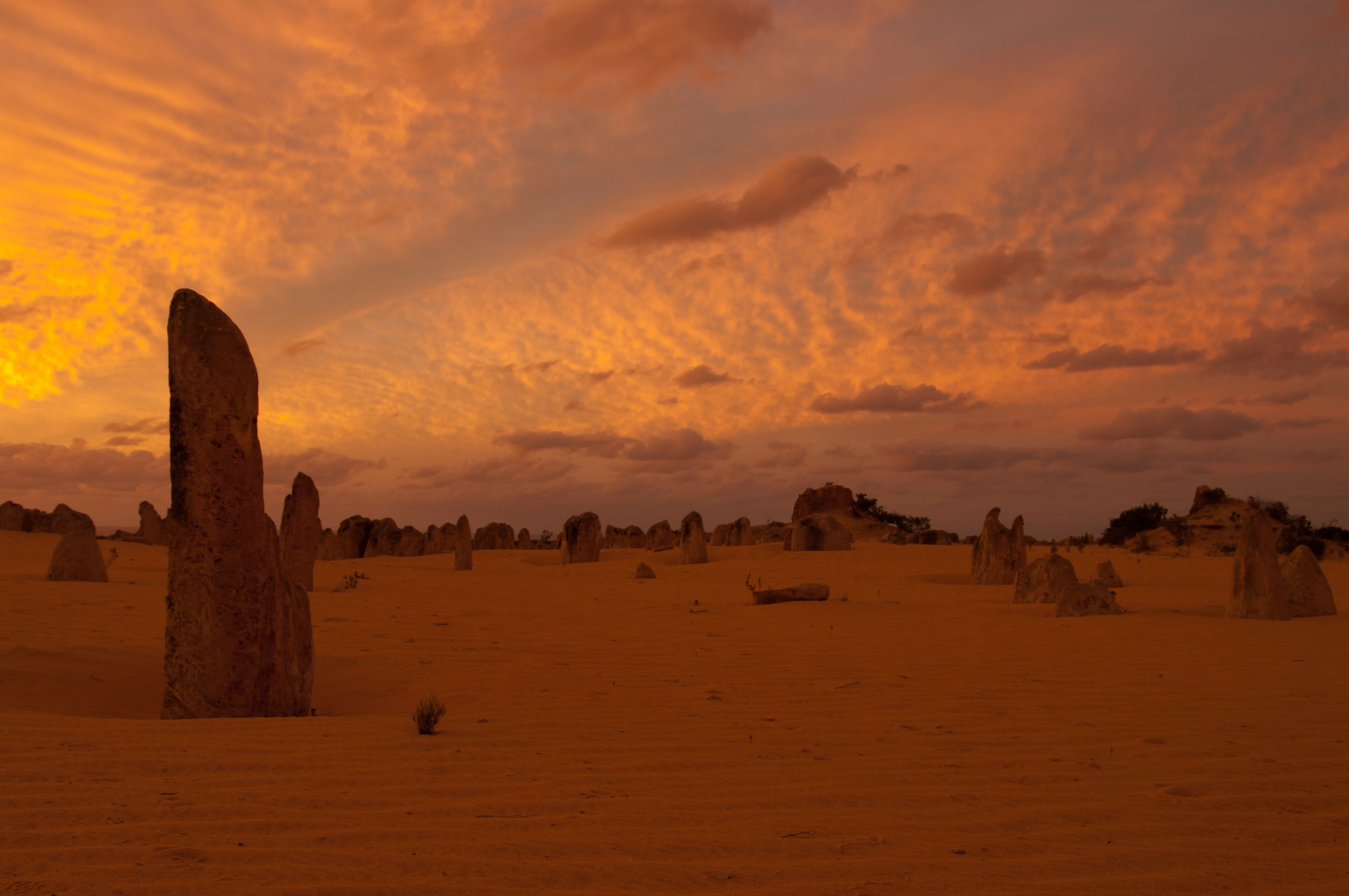 Desert landscape with tall limestone pillars under an orange sky at sunset
